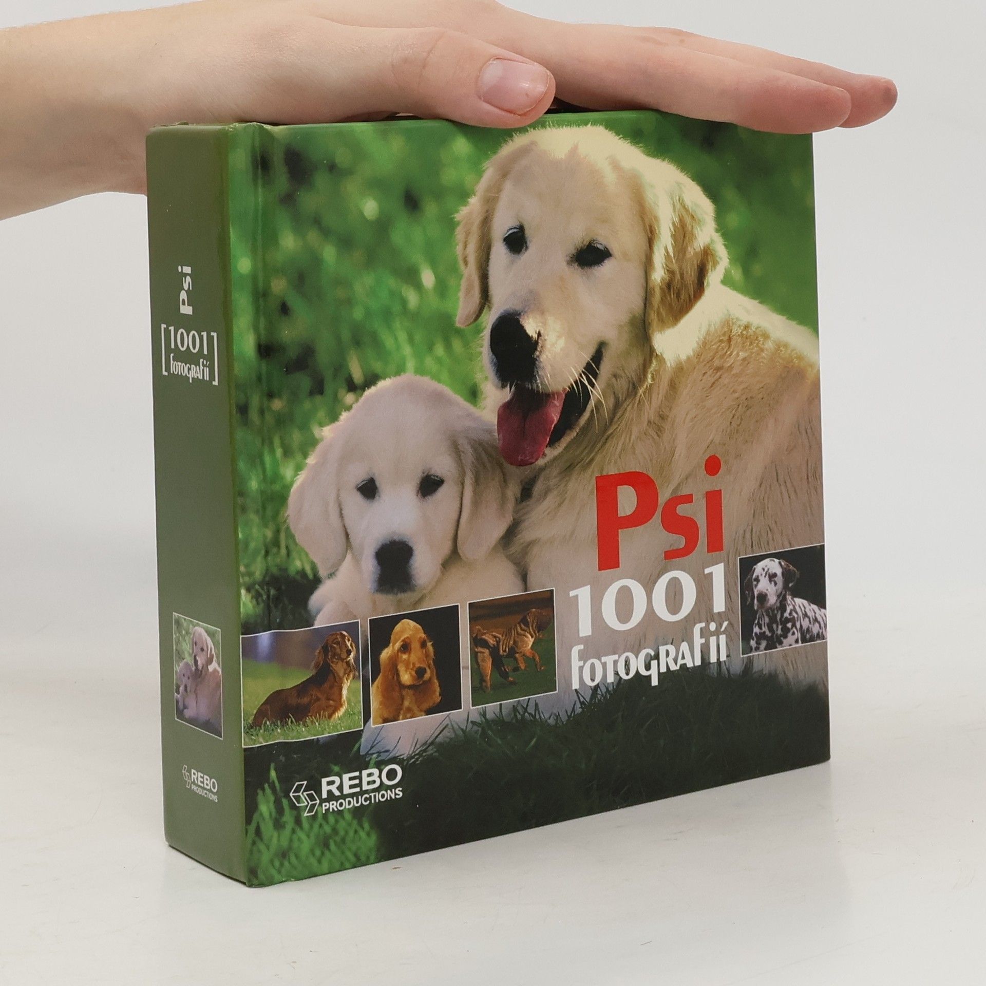Hana Zástěrová Psi - 1001 fotografií