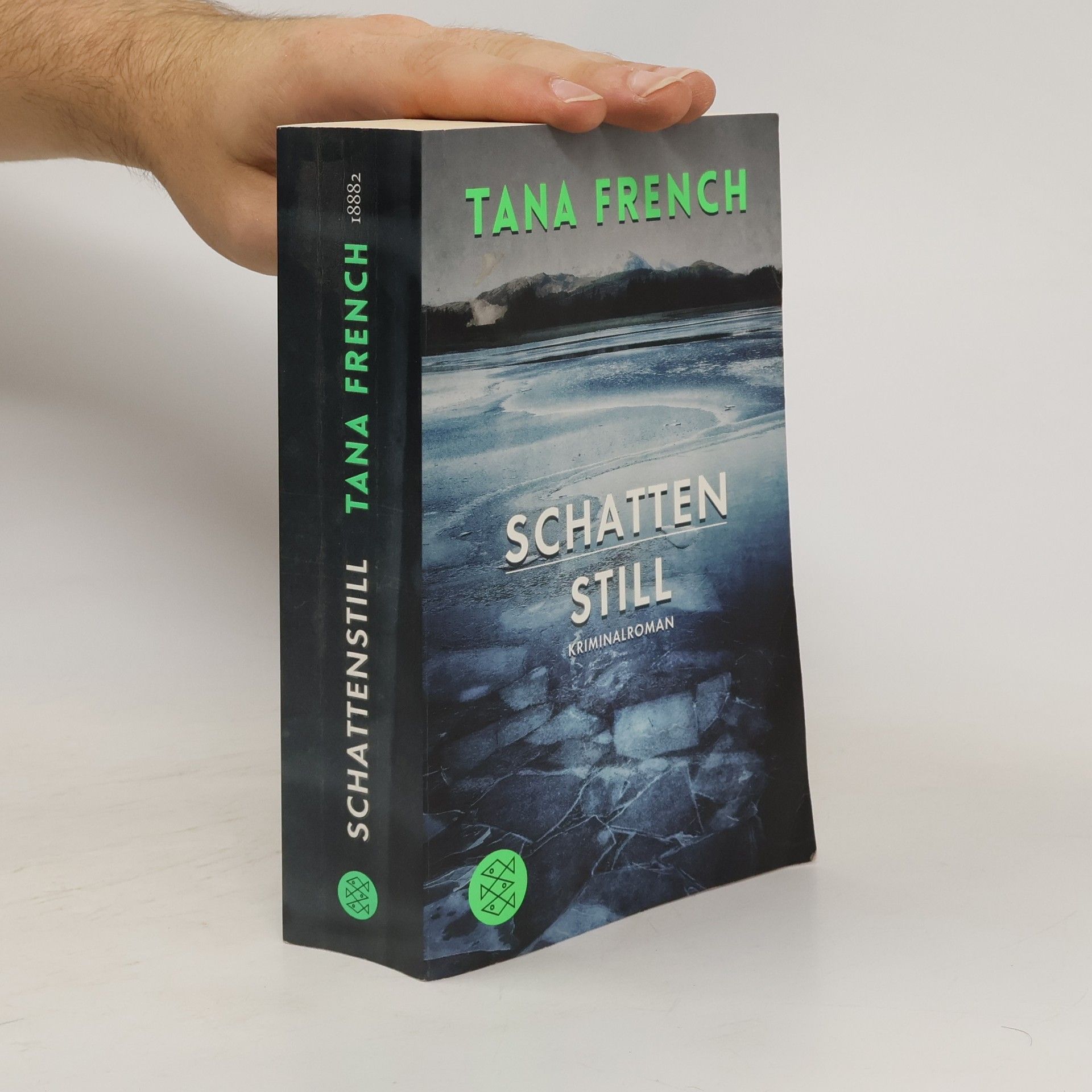 Tana French Schattenstill