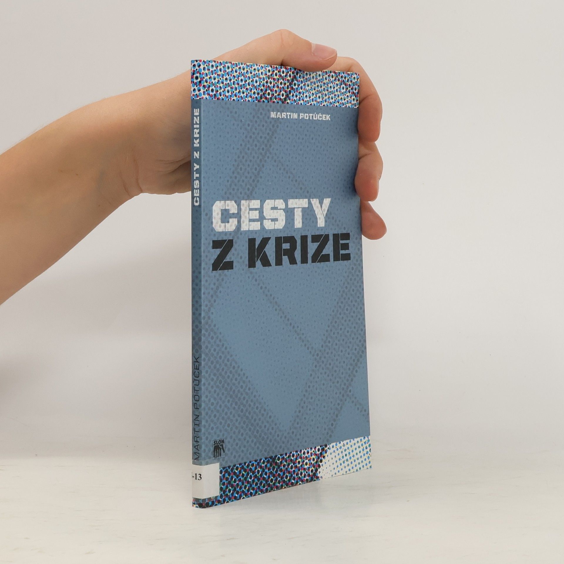 Martin Potůček Cesty z krize