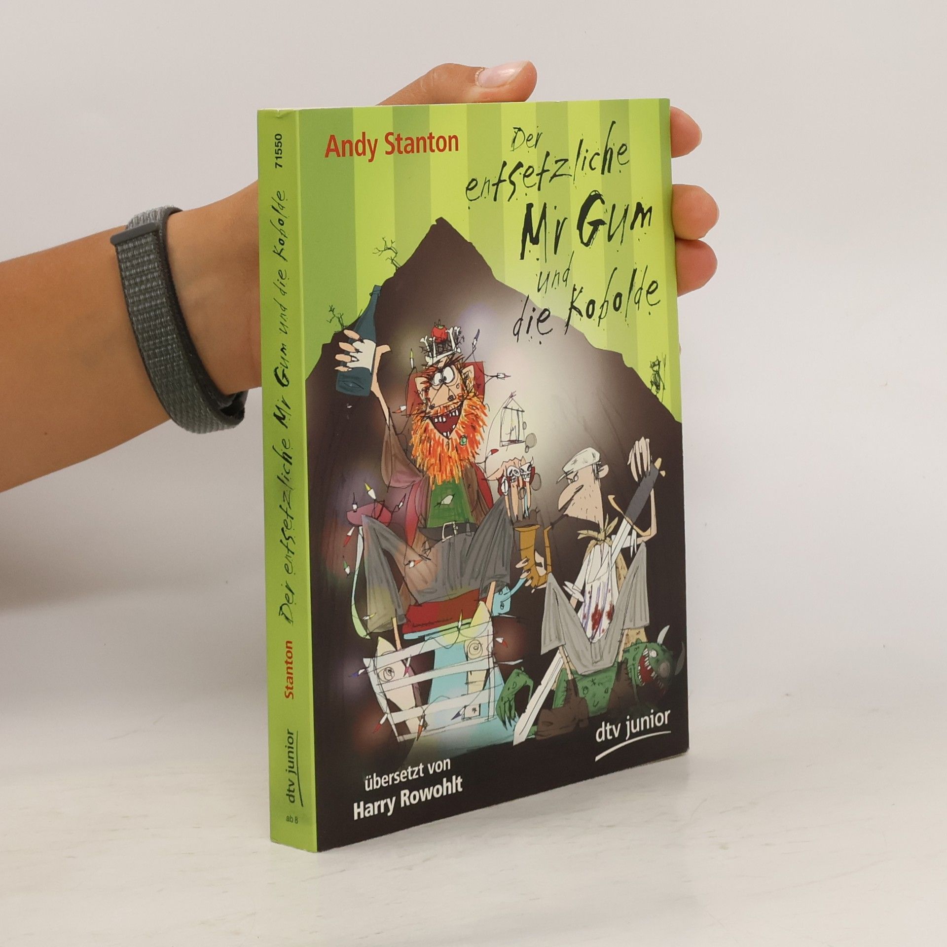 Andy Stanton Der entsetzliche Mr Gum und die Kobolde