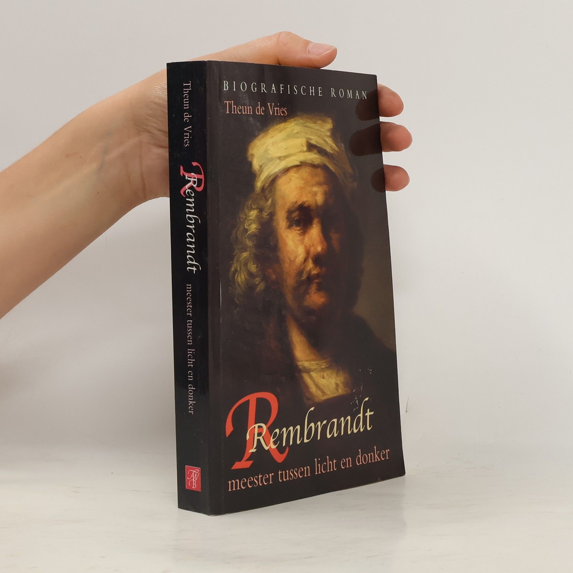 Theun de Vries Rembrandt