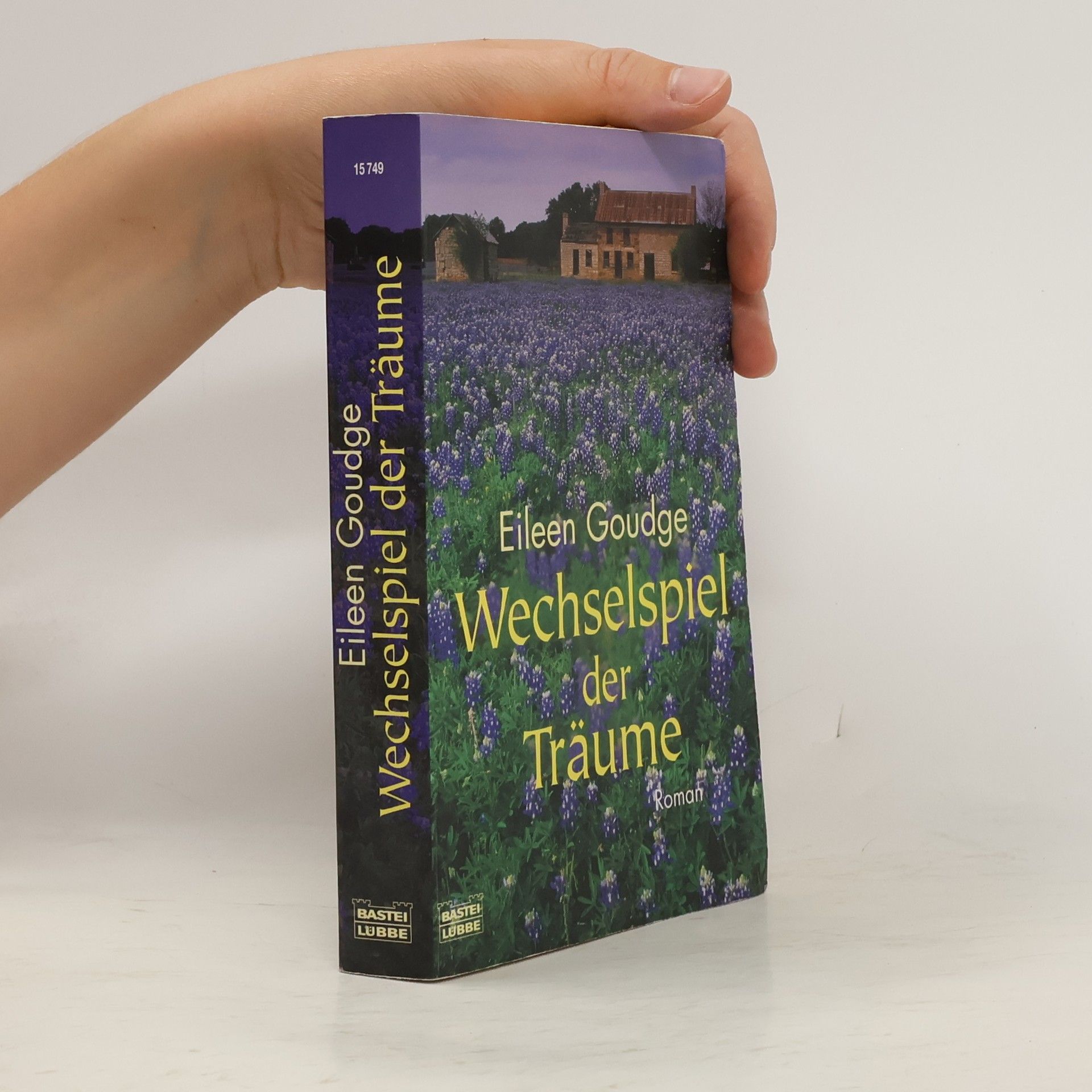 Eileen Goudge Wechselspiel der Träume