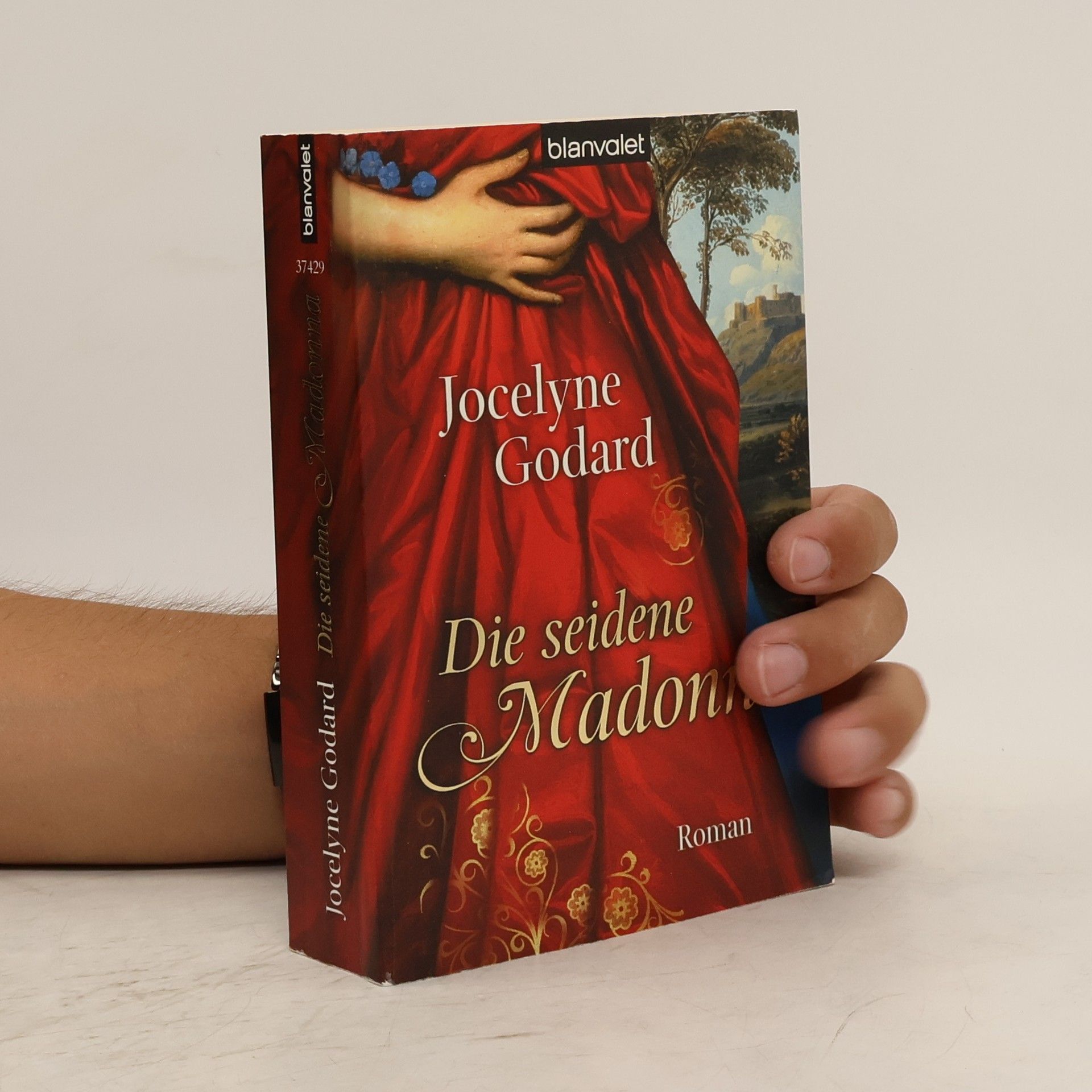 Jocelyne Godard Die seidene Madonna