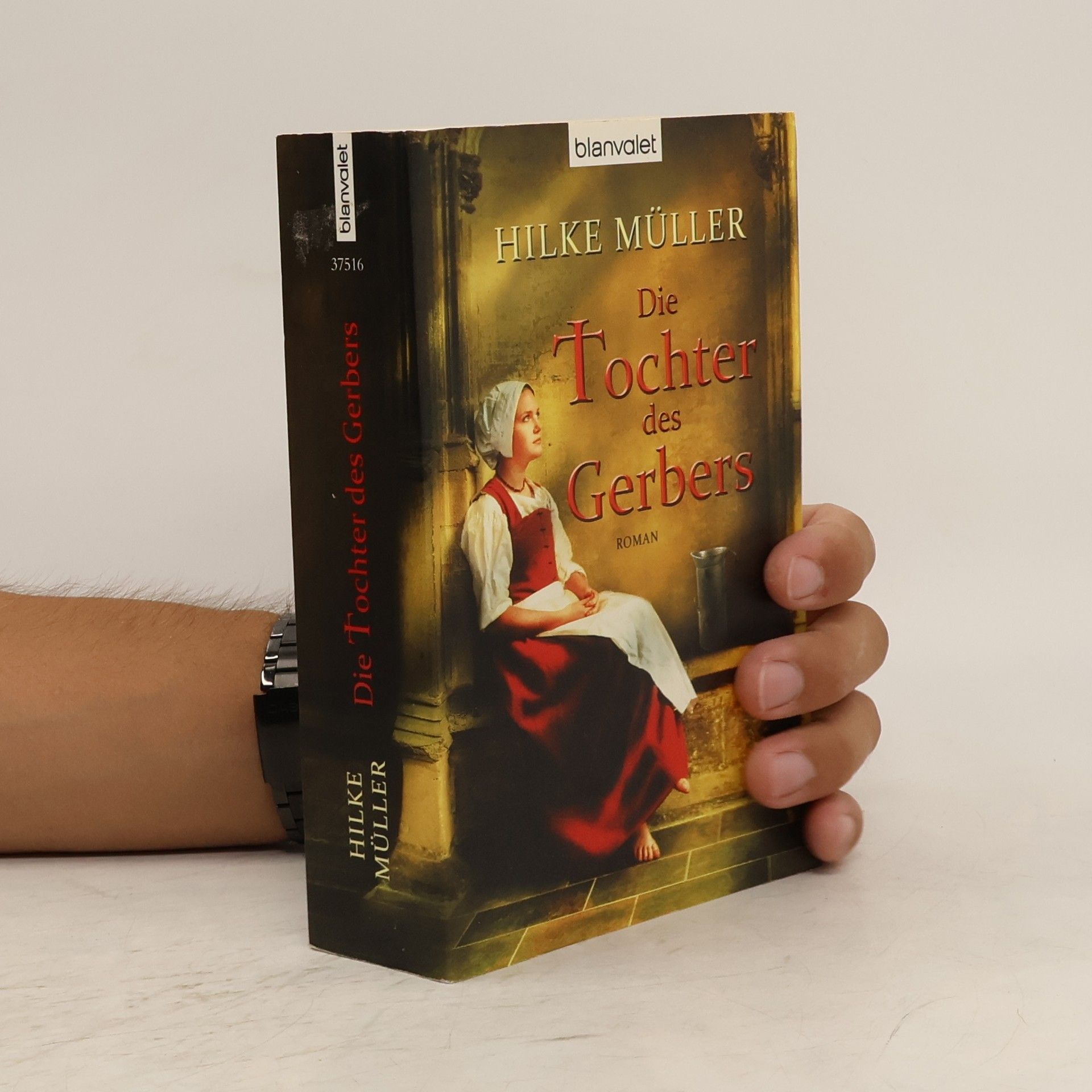 Hilke Sellnick Die Tochter des Gerbers