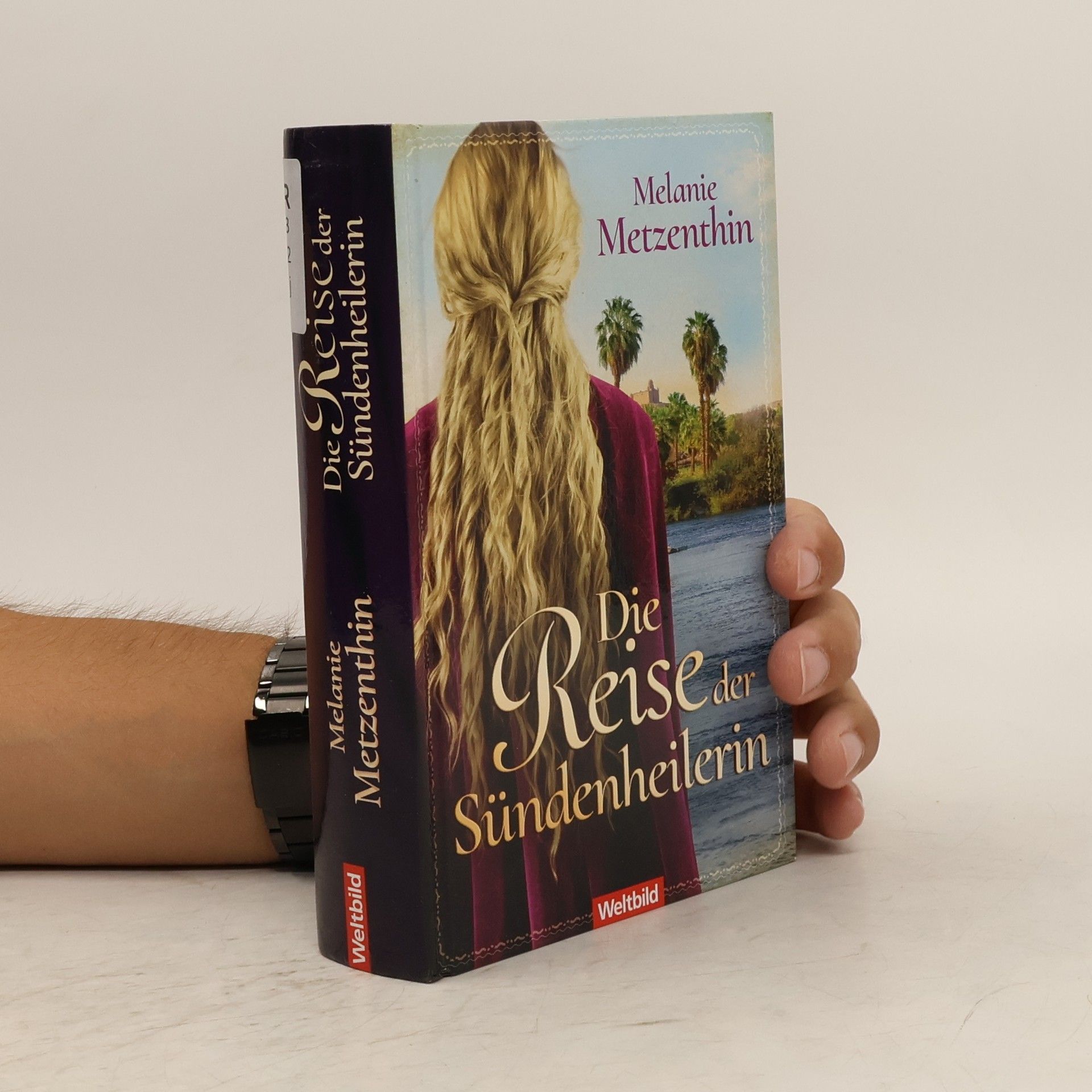 Die Reise der Sündenheilerin