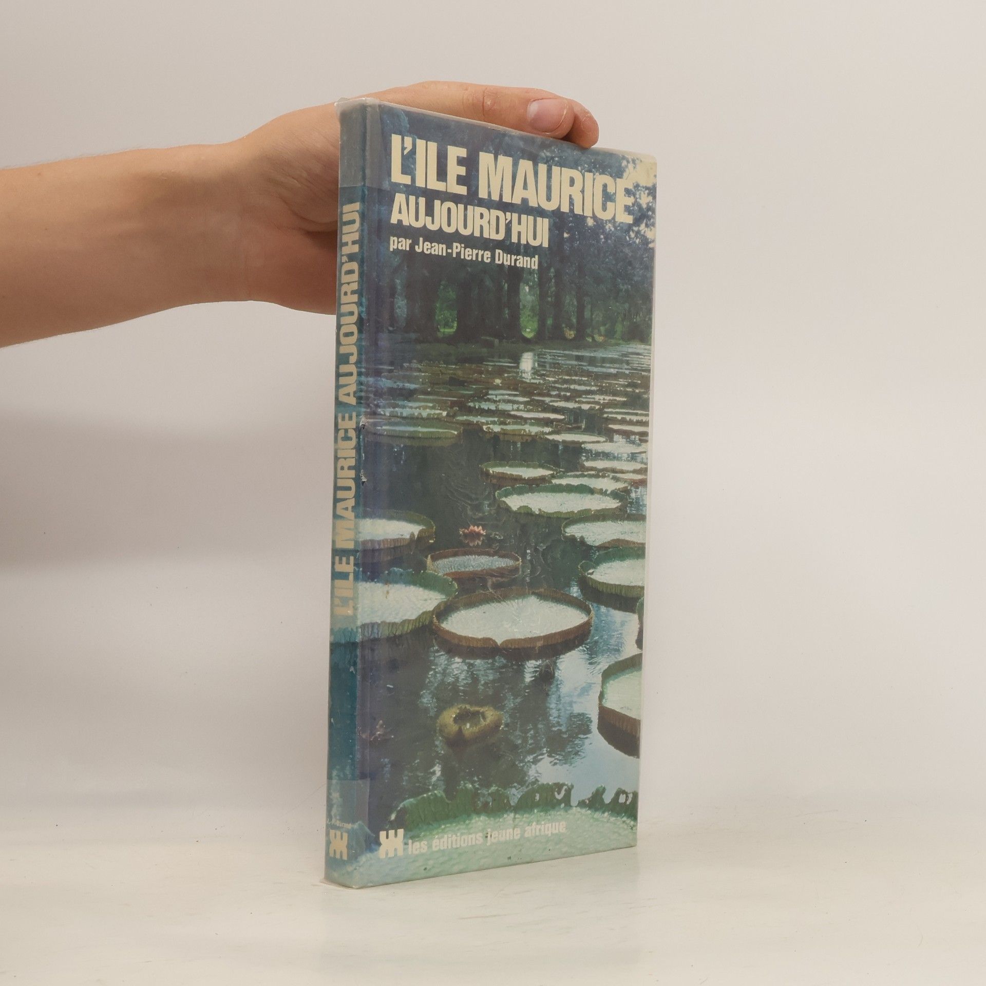 Jean-Pierre Durand L'île Maurice aujourd'hui