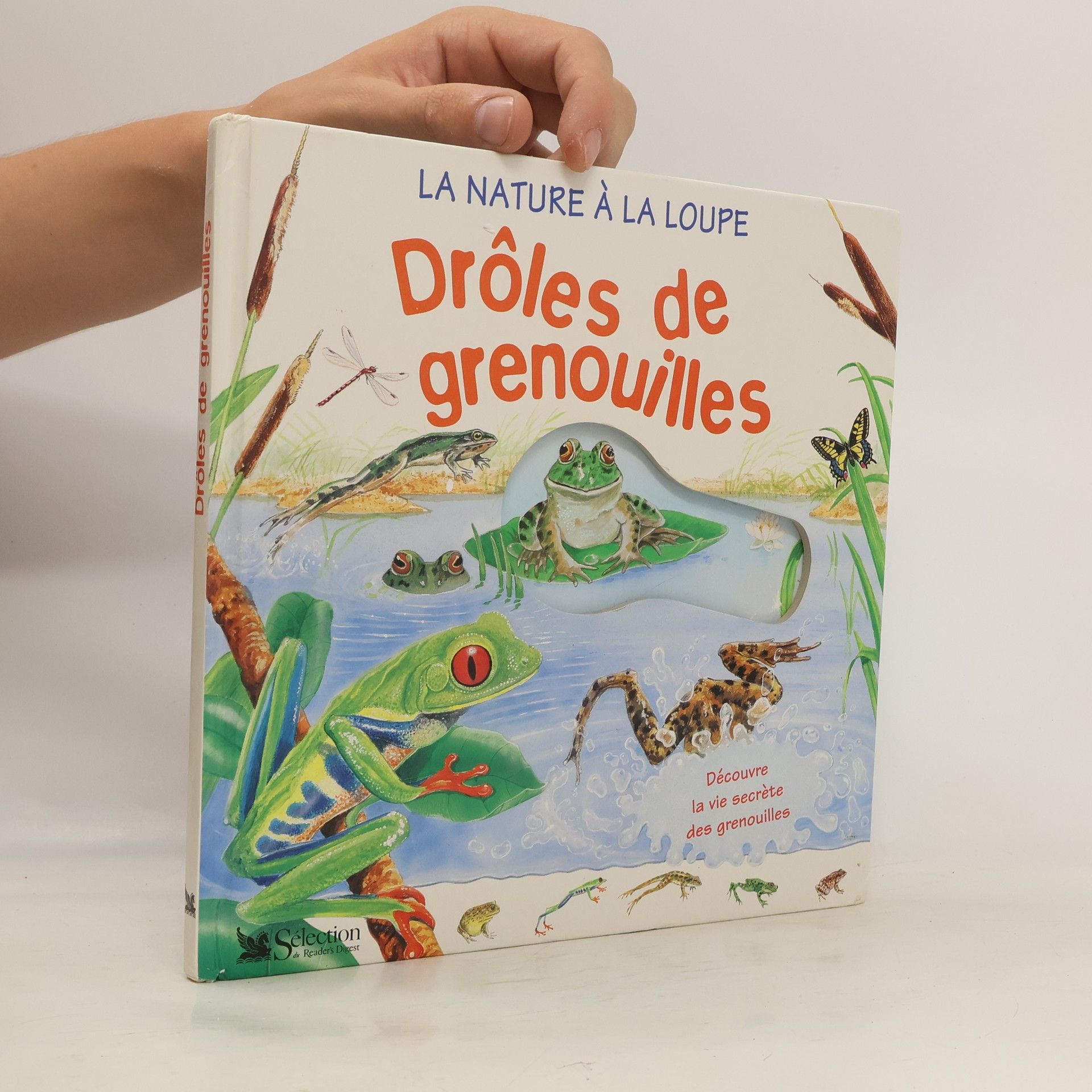 Collectif d'auteurs Drôles de grenouilles