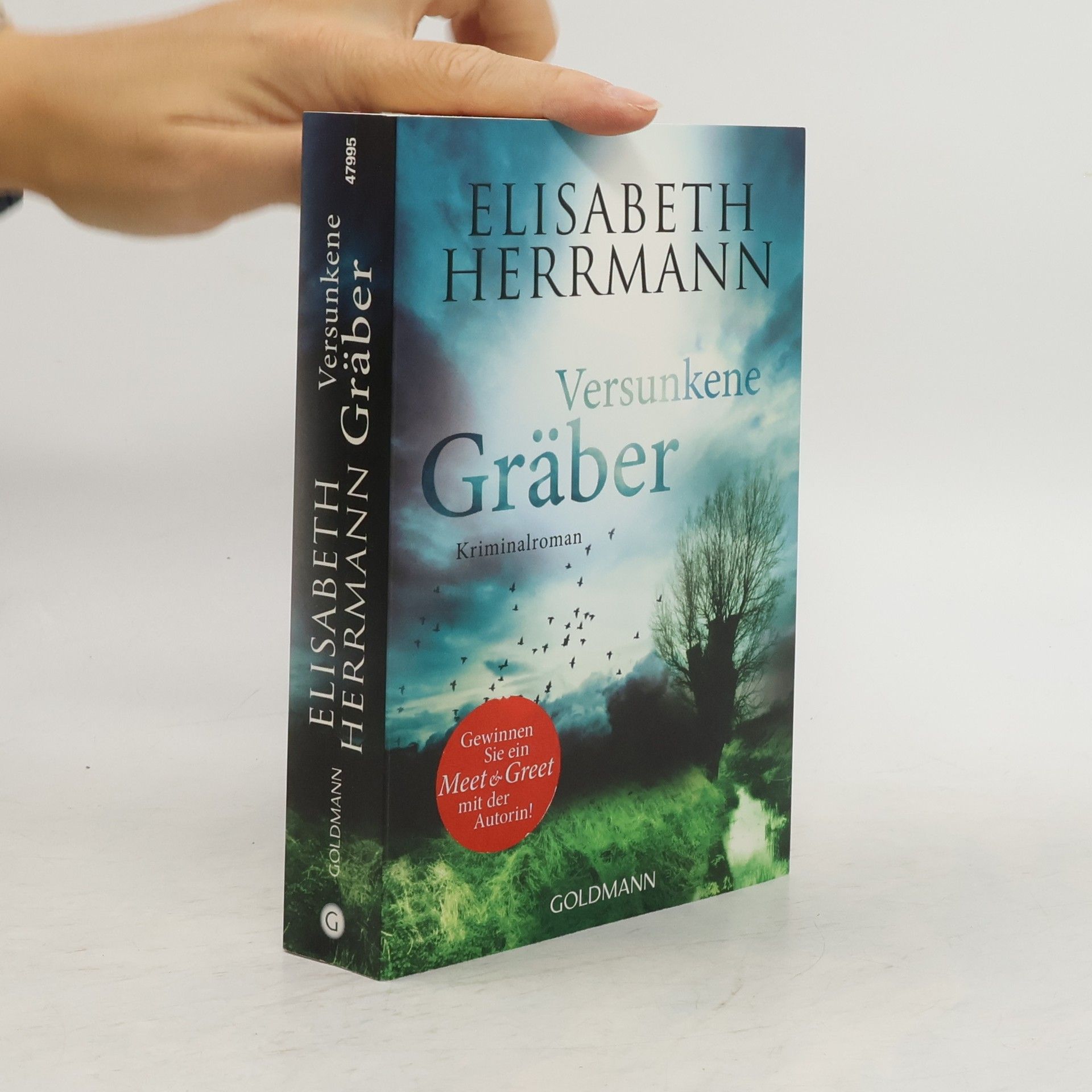 Elisabeth Hermann Versunkene Gräber