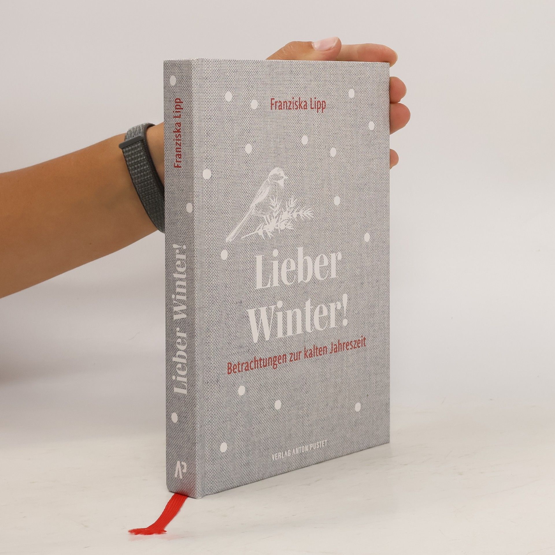 Franziska Lipp Lieber Winter!