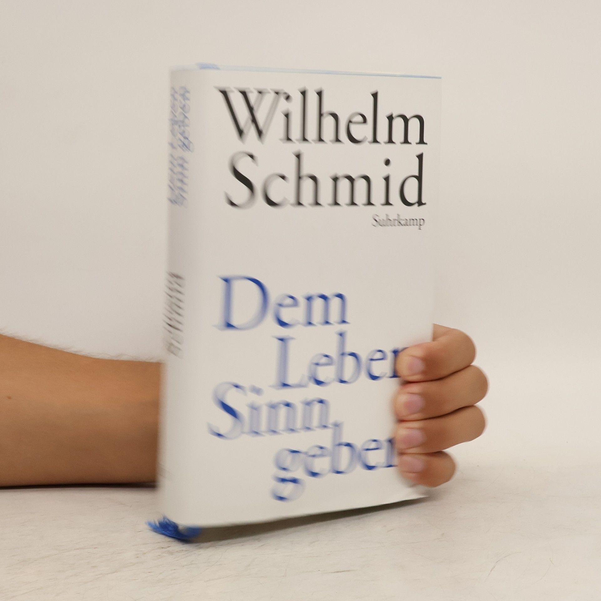 Wilhelm Schmidt-Thomé Dem Leben Sinn geben: von der Lebenskunst im Umgang mit Anderen und der Welt