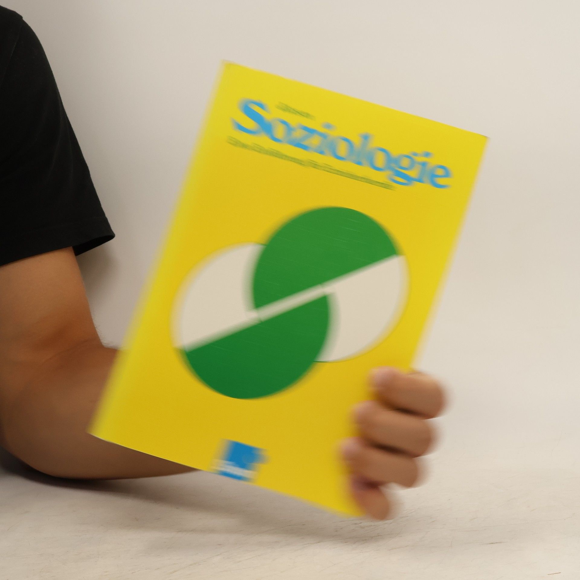Martien Jilesen Soziologie
