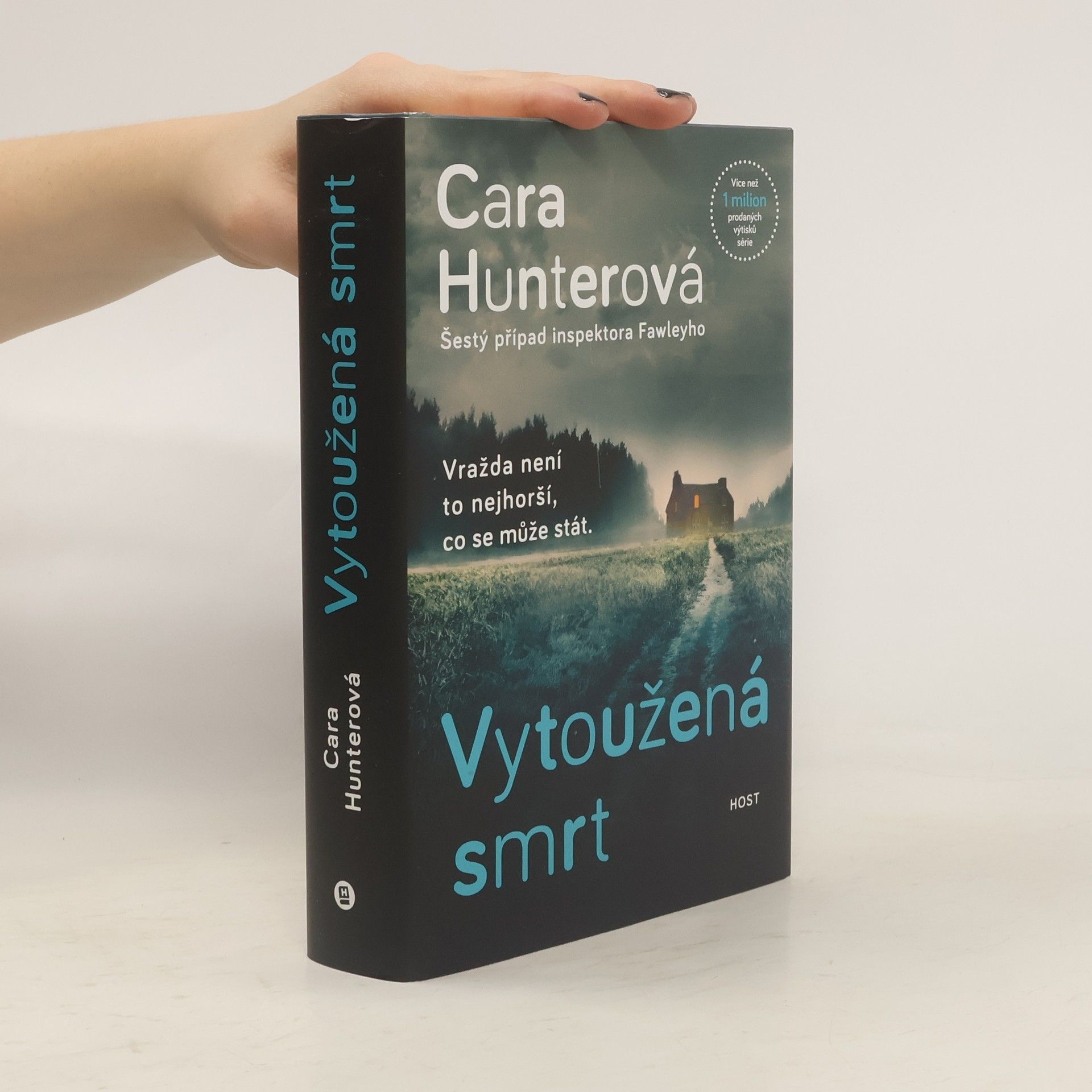 Cara Hunter Vytoužená smrt