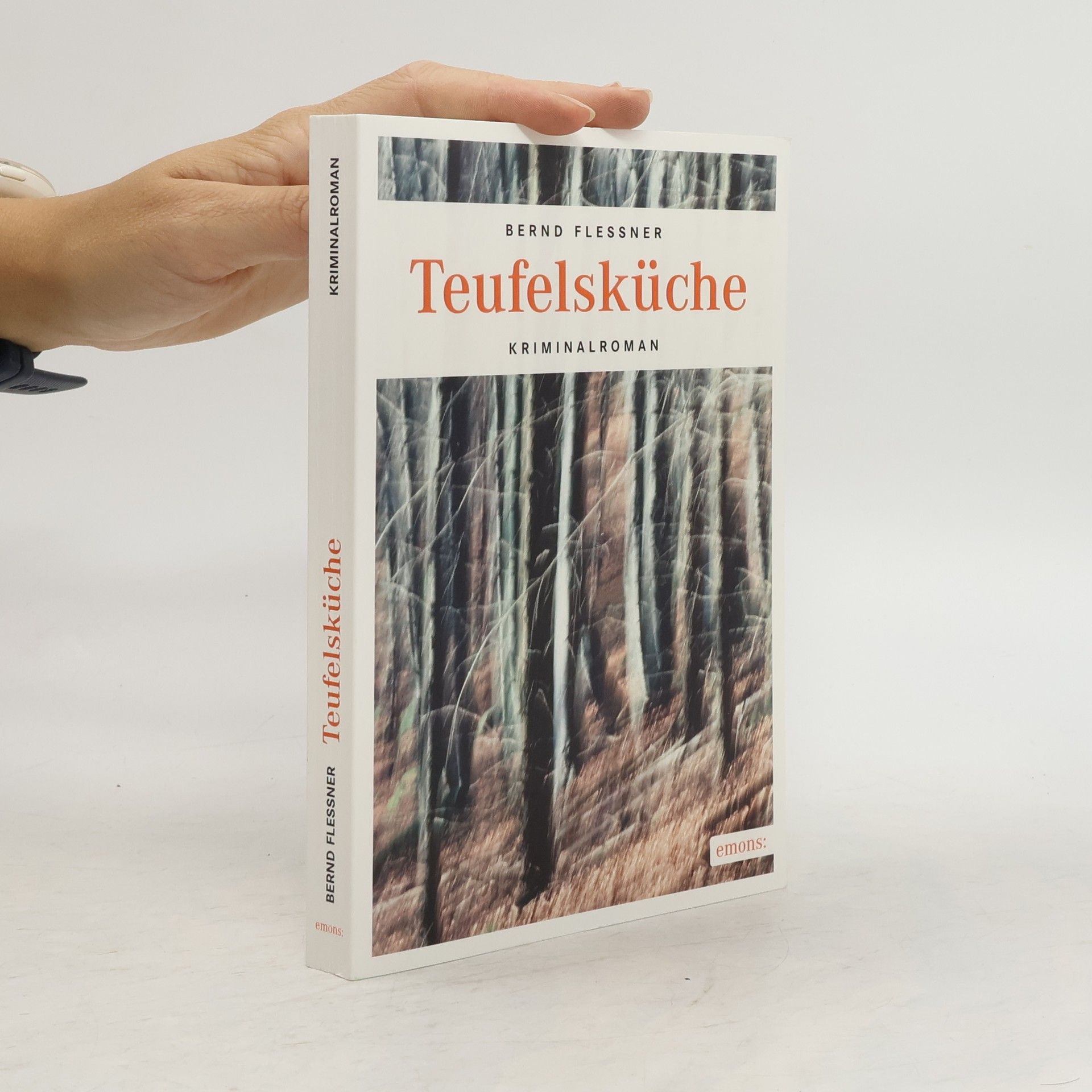 Bernd Flessner Teufelsküche