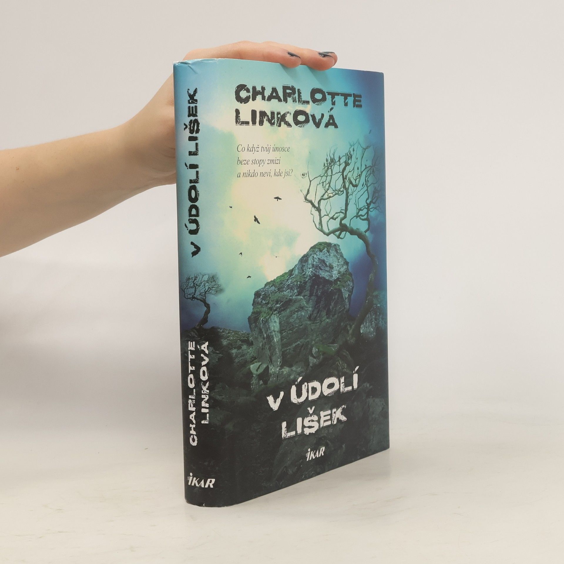 Charlotte Link V údolí lišek