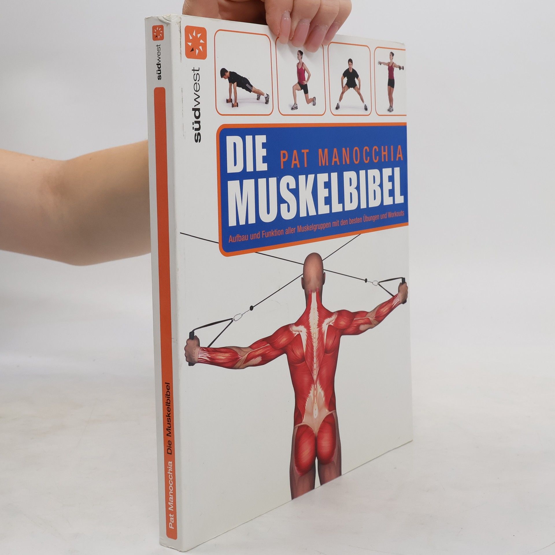 Pat Manocchia Das Muskelbuch