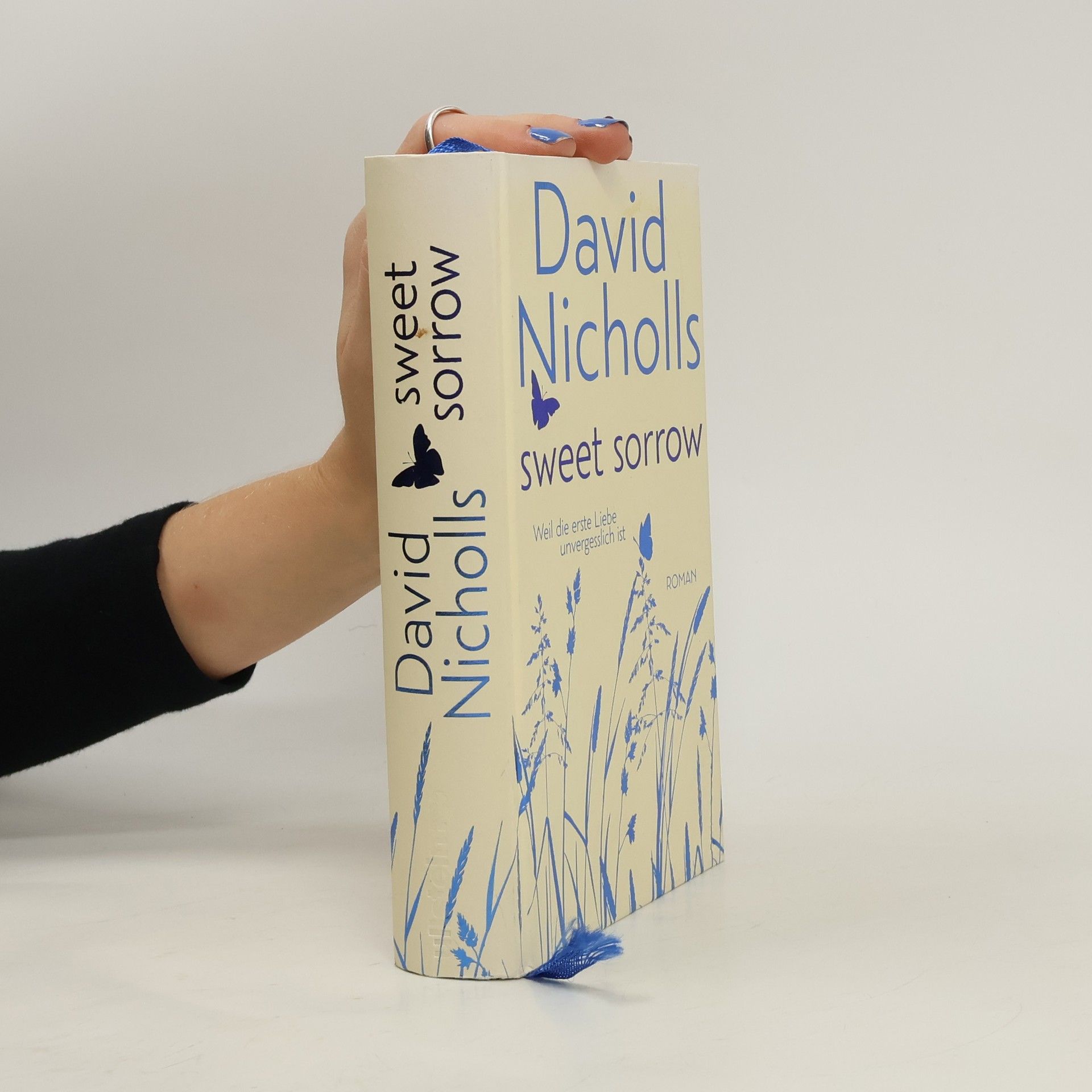 David Nicholls Sweet Sorrow