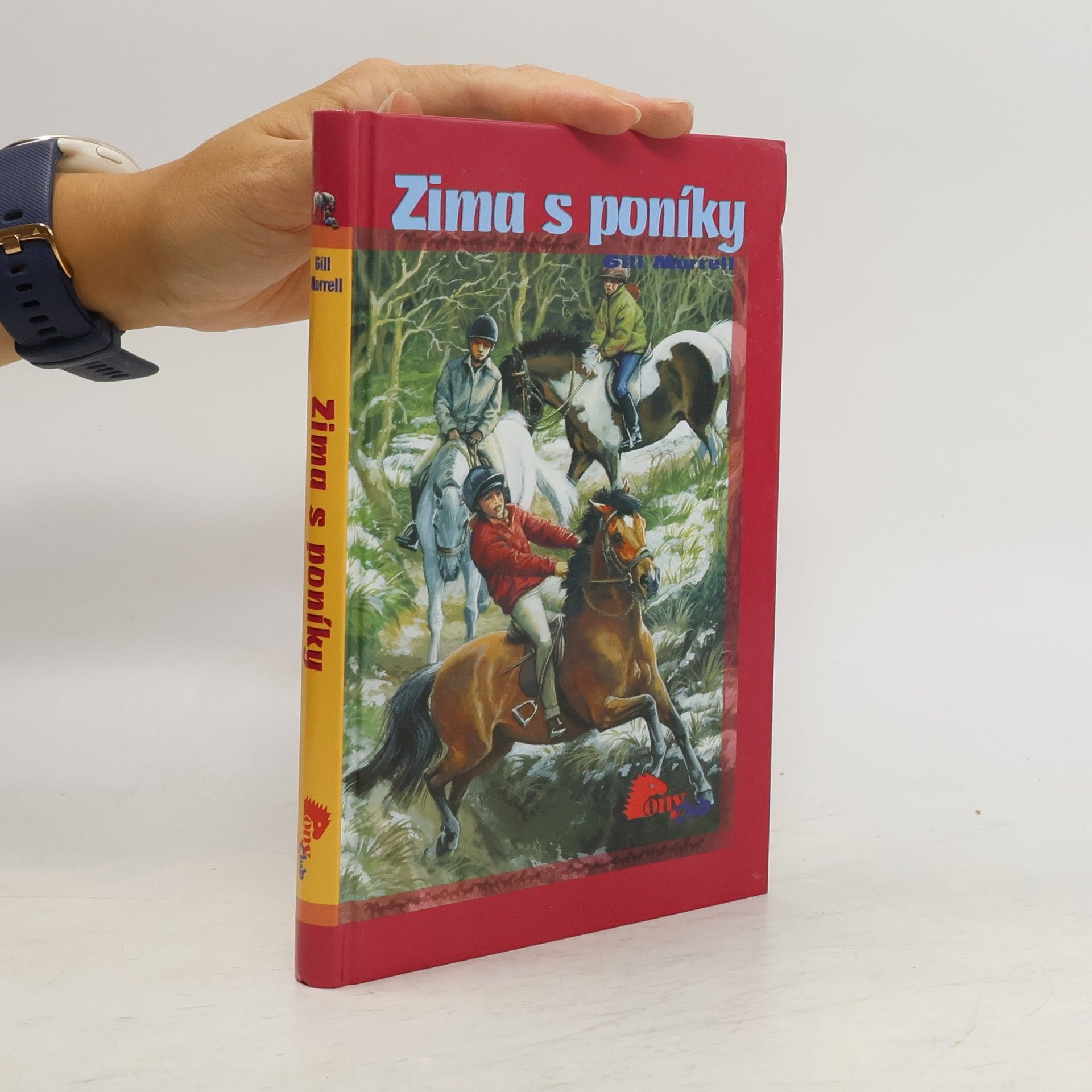 Gill Morrell Zima s poníky