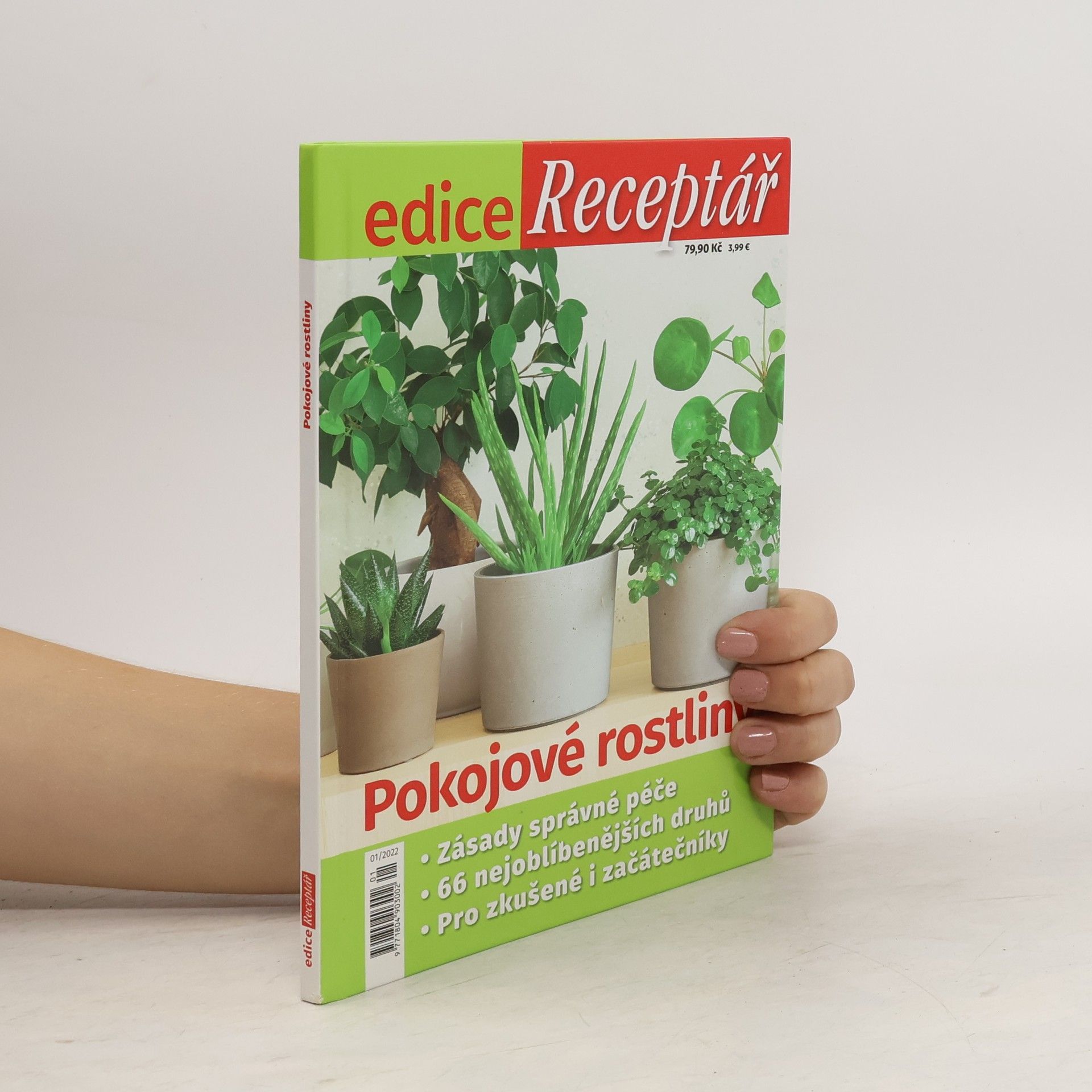 Autorenkollektiv Pokojové rostliny 01/2022