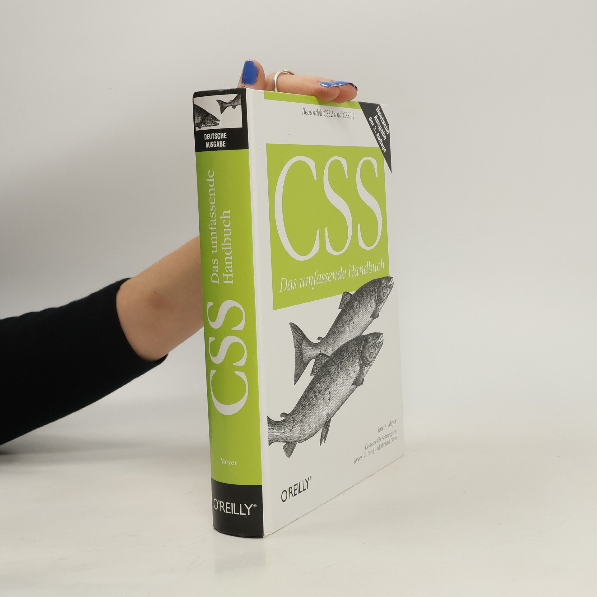 Eric Meyer CSS