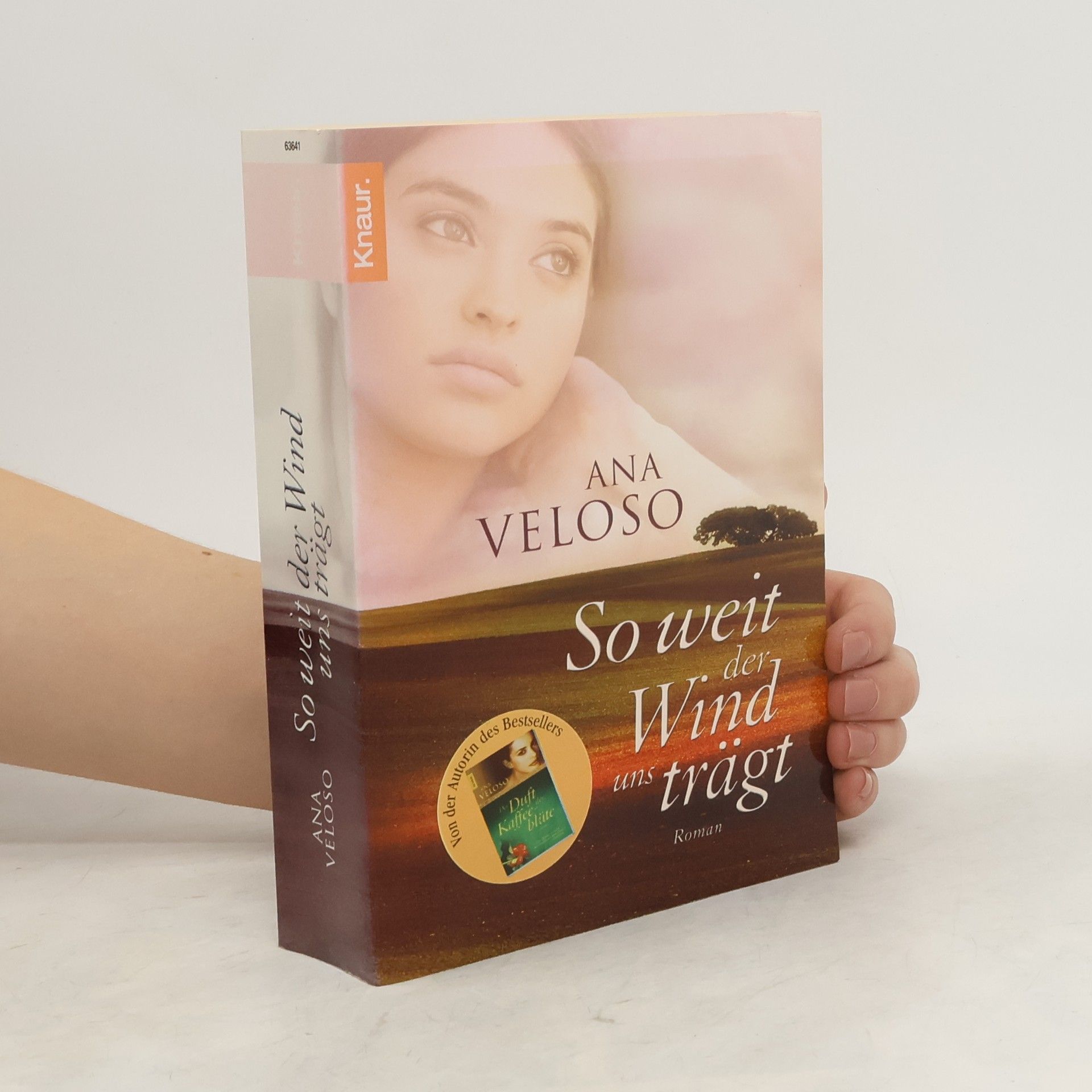 Ana Veloso So weit der Wind uns trägt