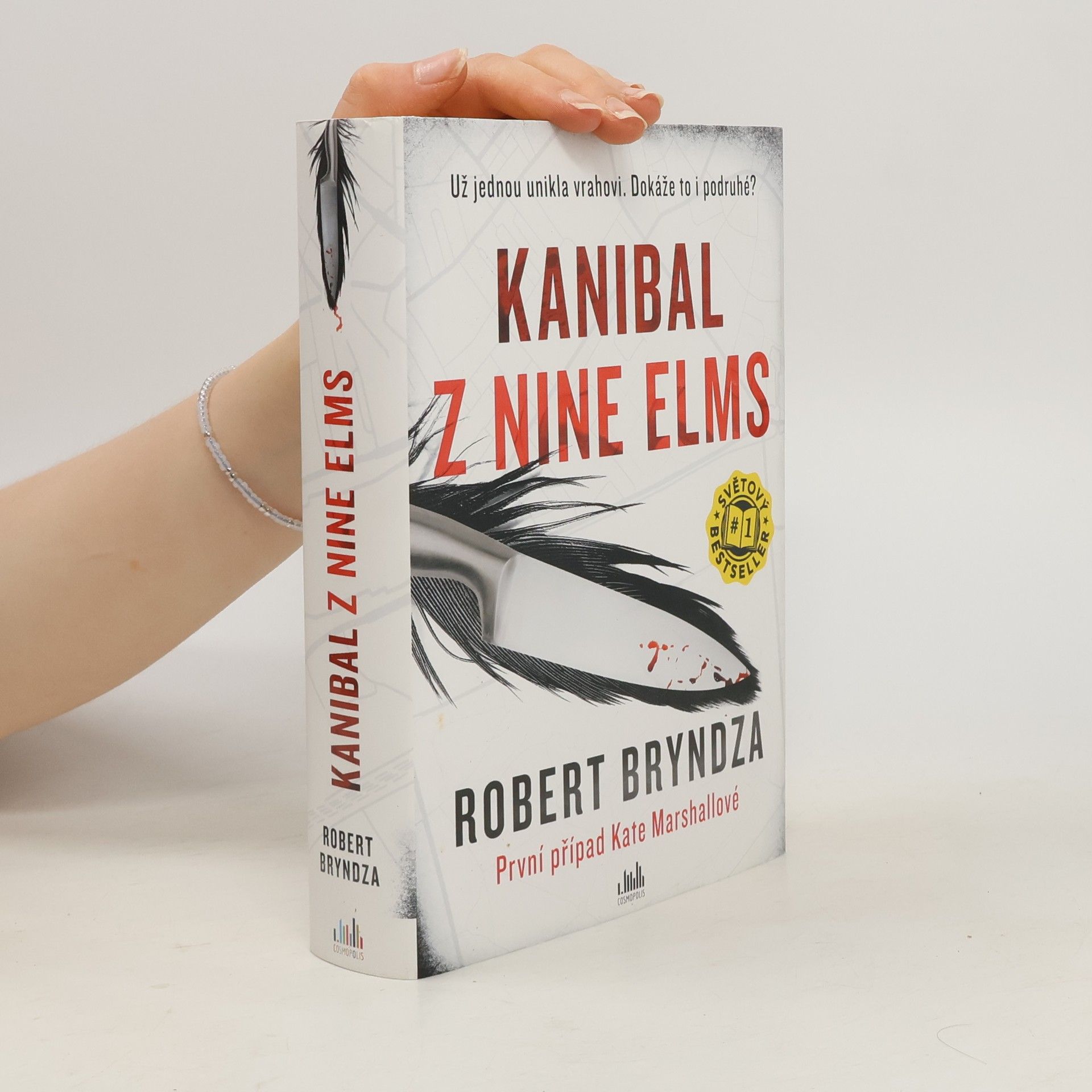 Robert Bryndza Kanibal z Nine Elms
