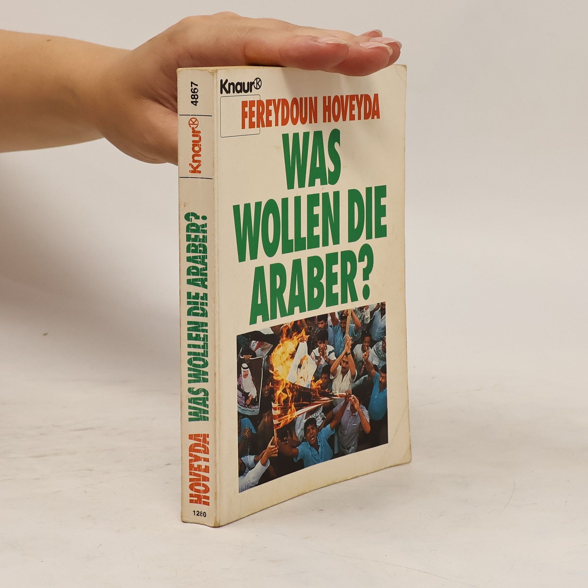 Fereydoun Hoveyda Was wollen die Araber?