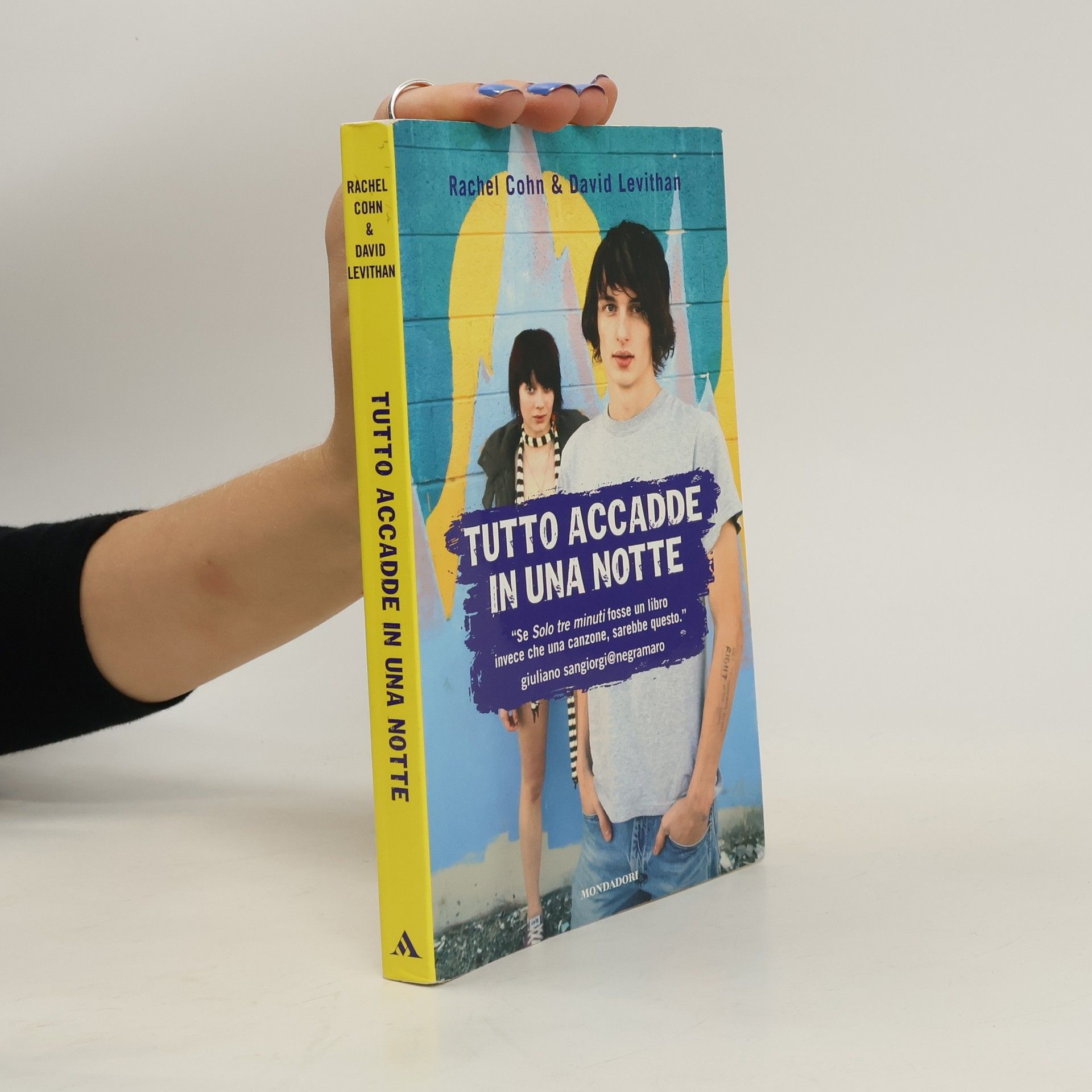 David Levithan Tutto accadde in una notte