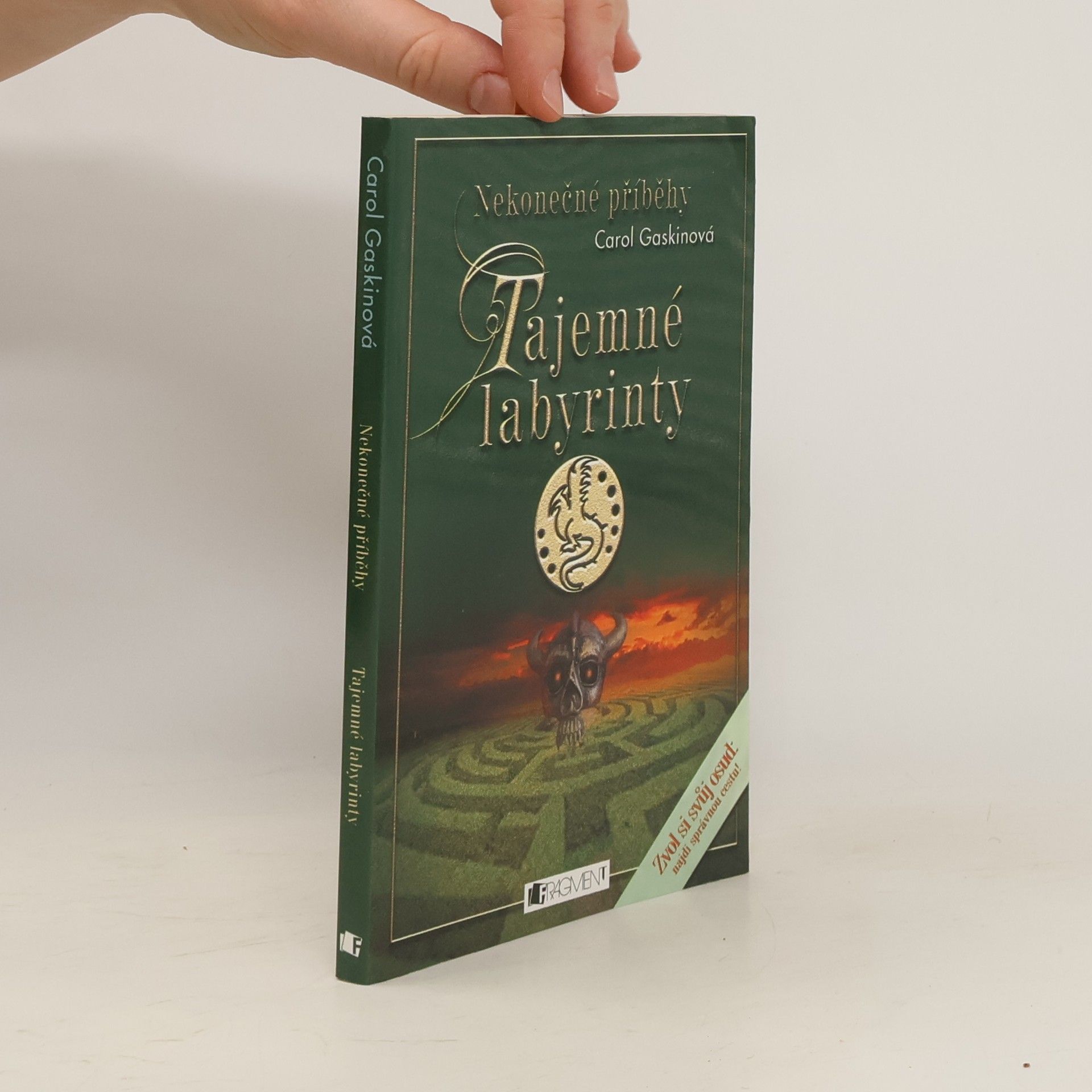 Carol Gaskin Nekonečné příběhy. Tajemné labyrinty