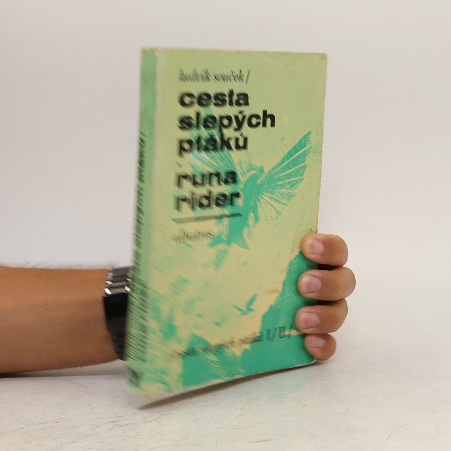 Ludvík Souček Cesta slepých ptáků. Runa rider