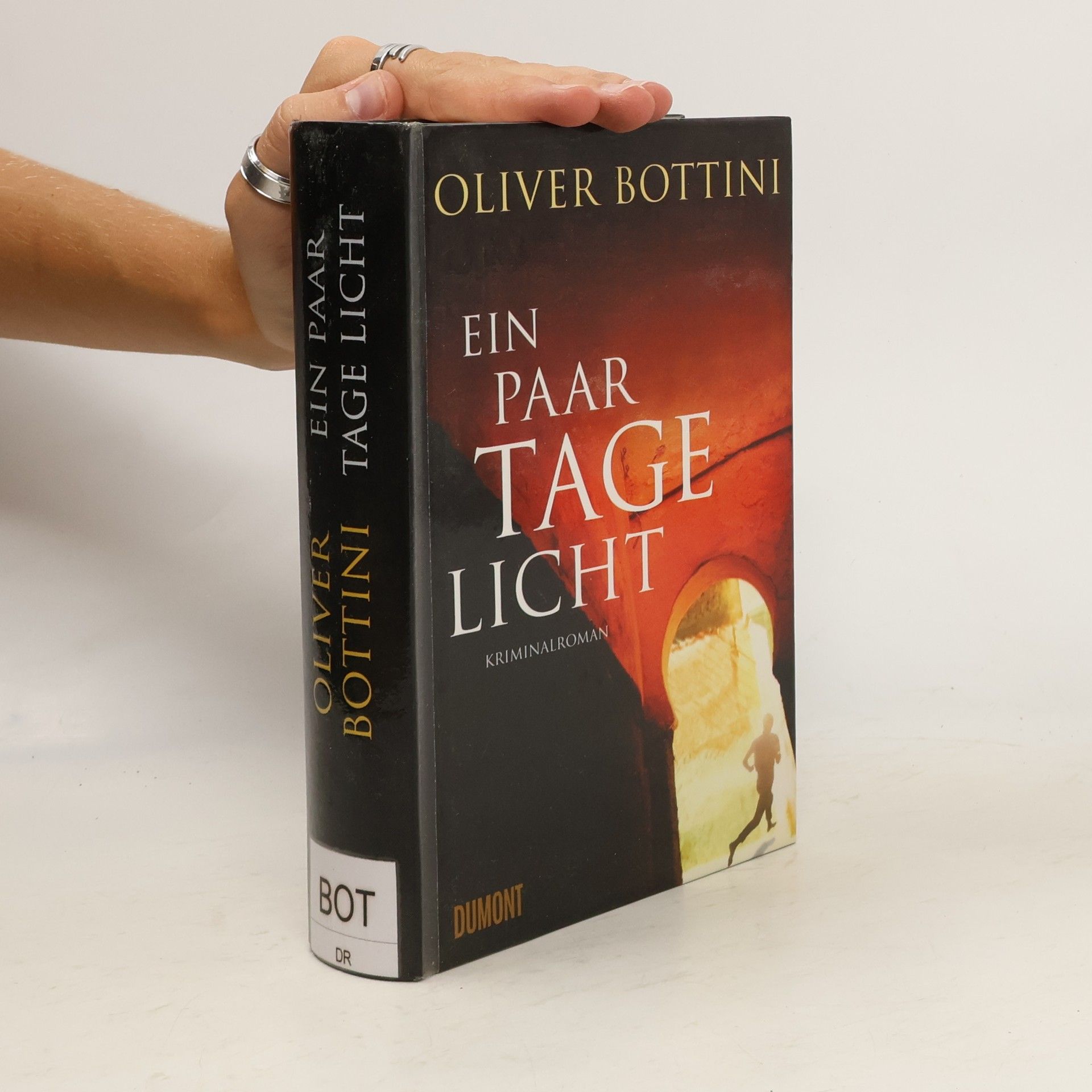Oliver Bottini Ein paar Tage Licht