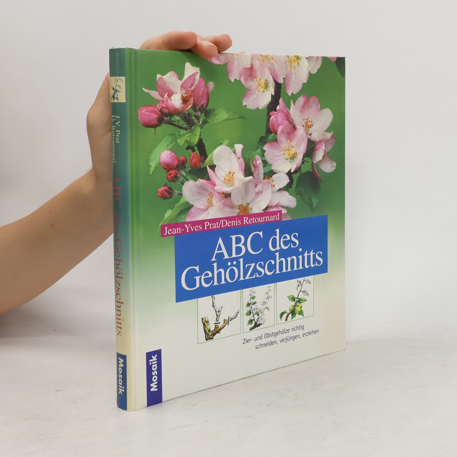 Jean-Yves Prat Das ABC des Gehölzschnitts