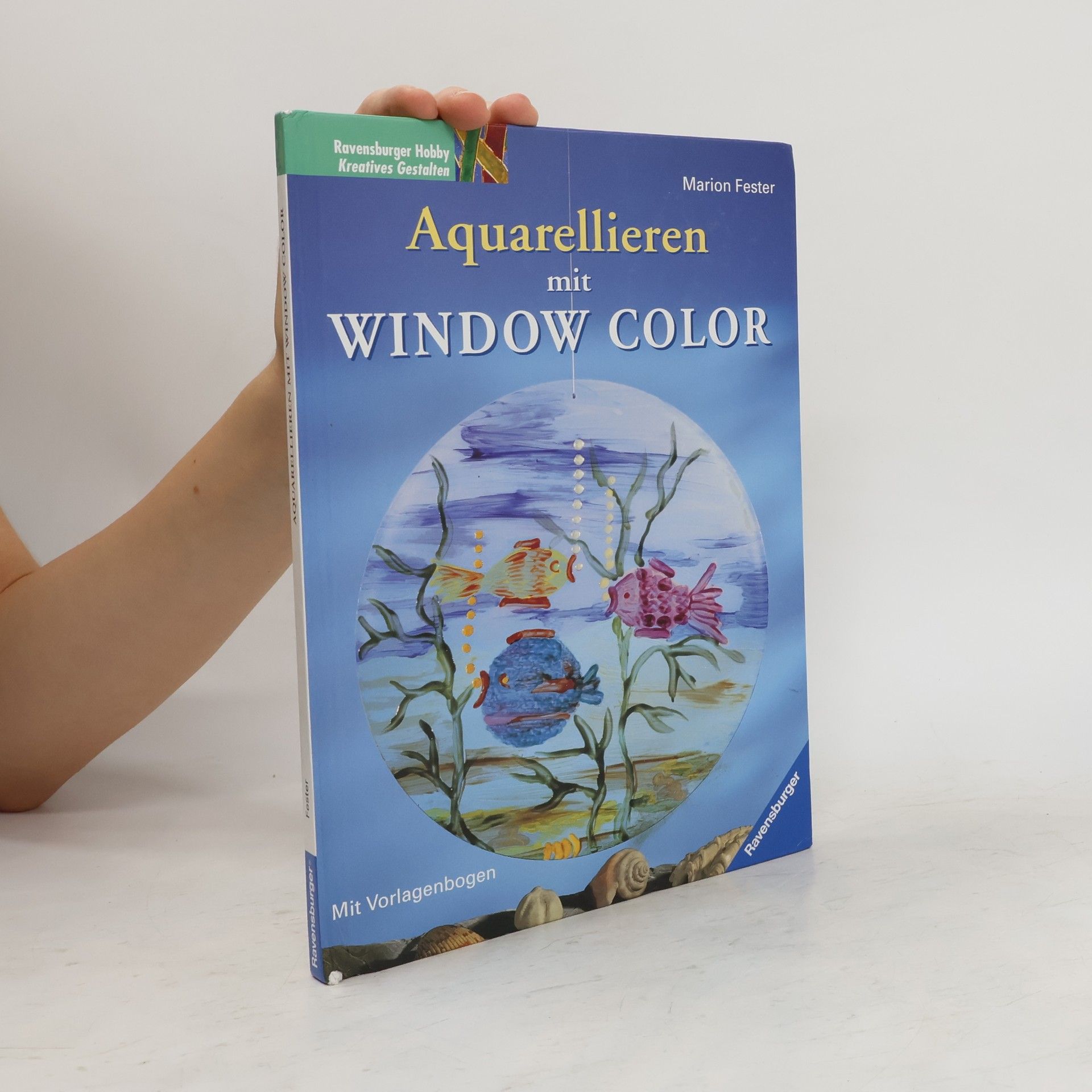 Marion Fester Aquarellieren mit Window Color