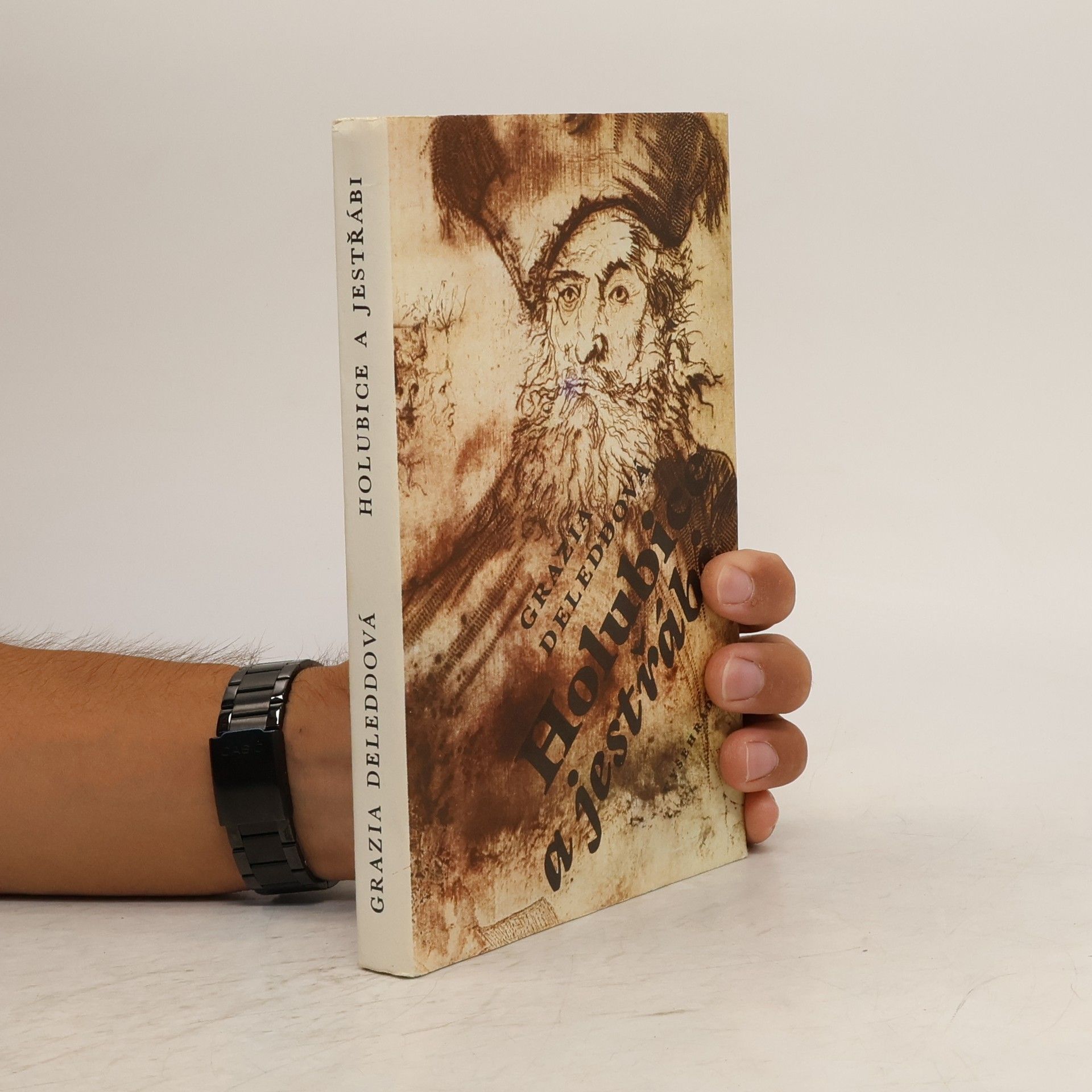 Holubice a jestřábi