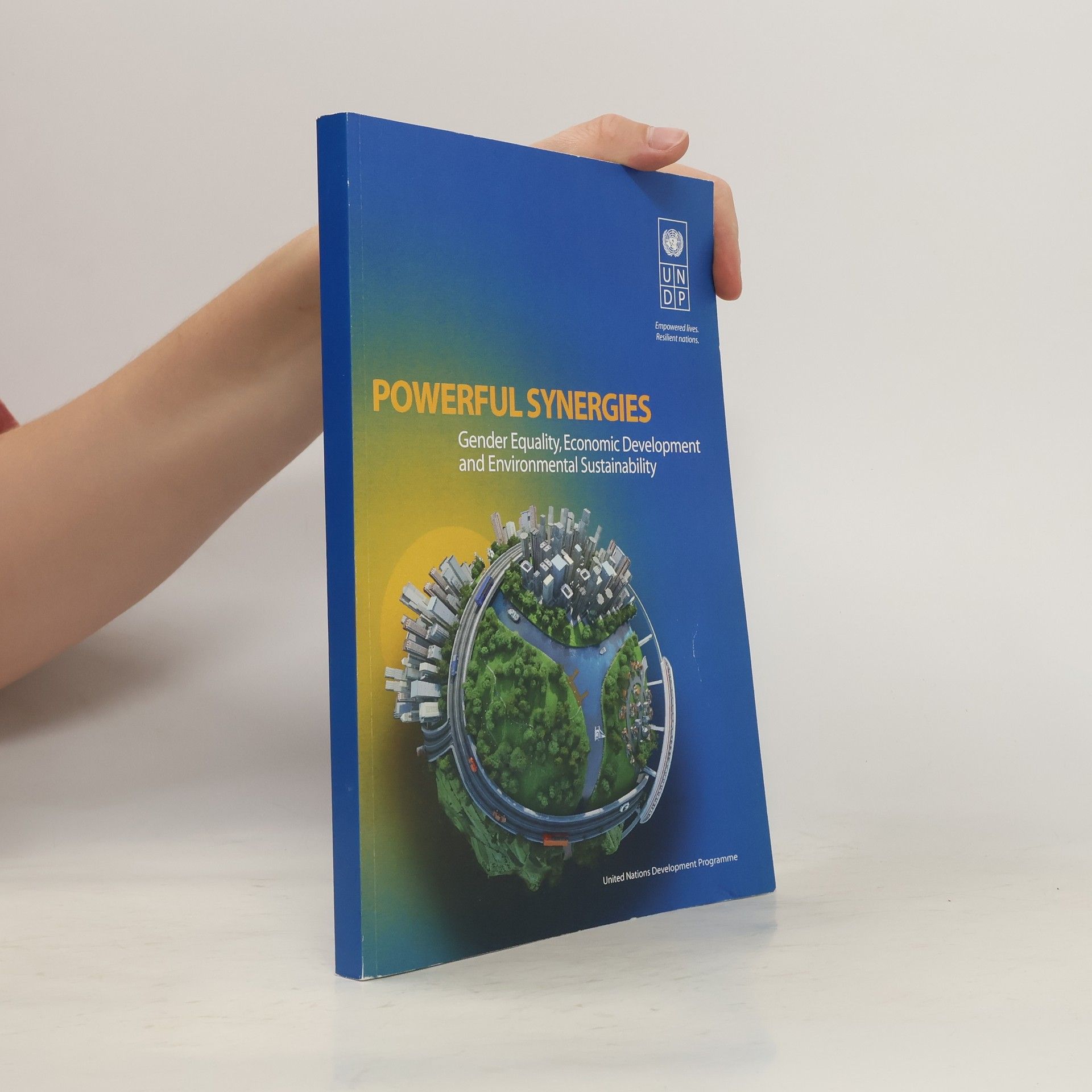 Kolektív autorov Powerful Synergies