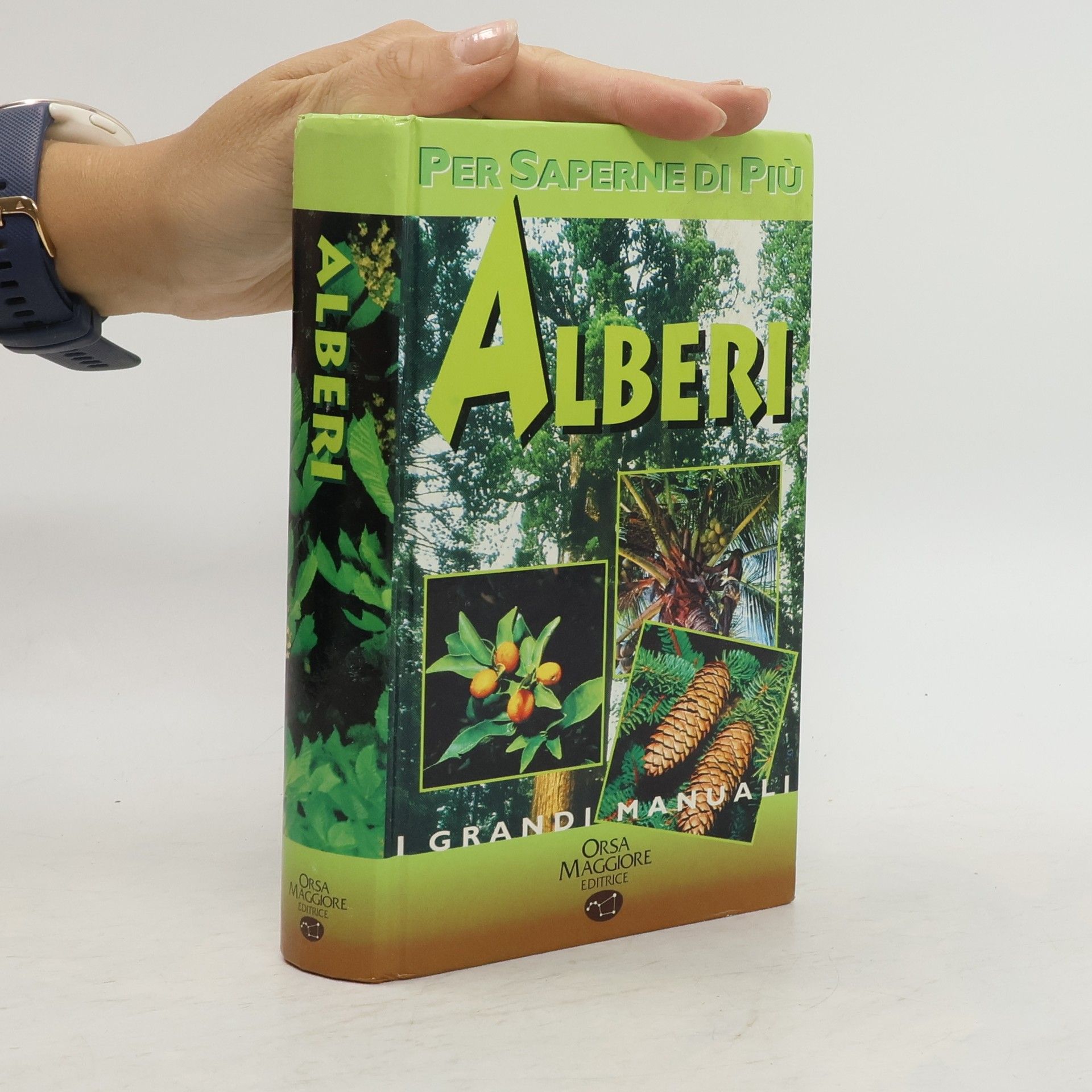 Collectif d'auteurs Alberi