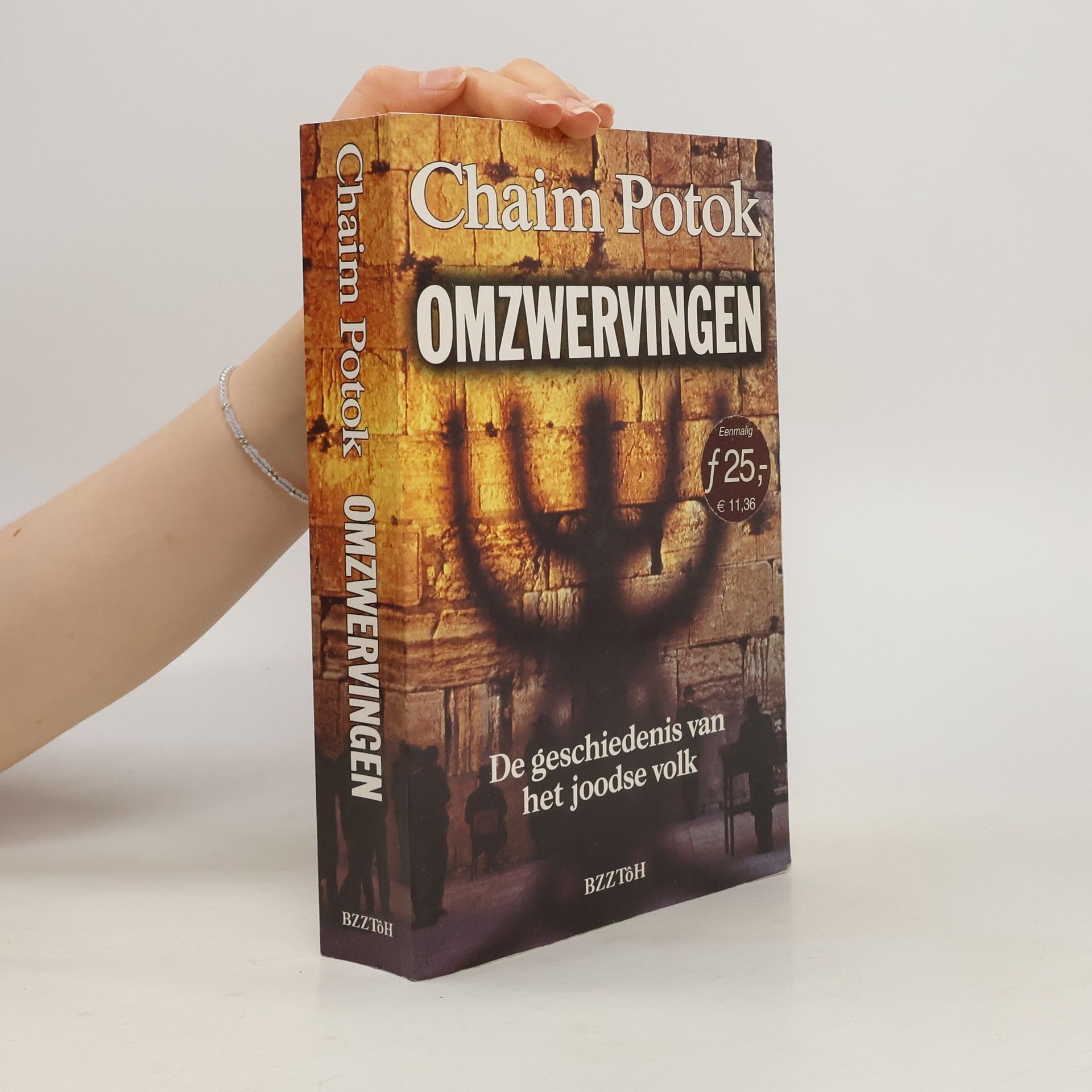 Chaim Potok Omzwervingen