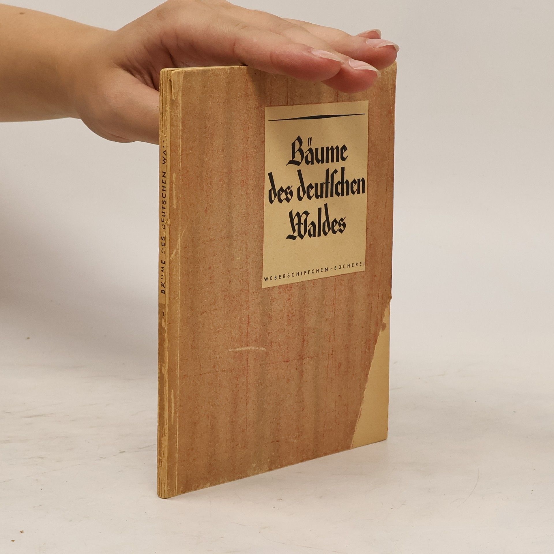 Autores varios Bäume des deutschen Waldes