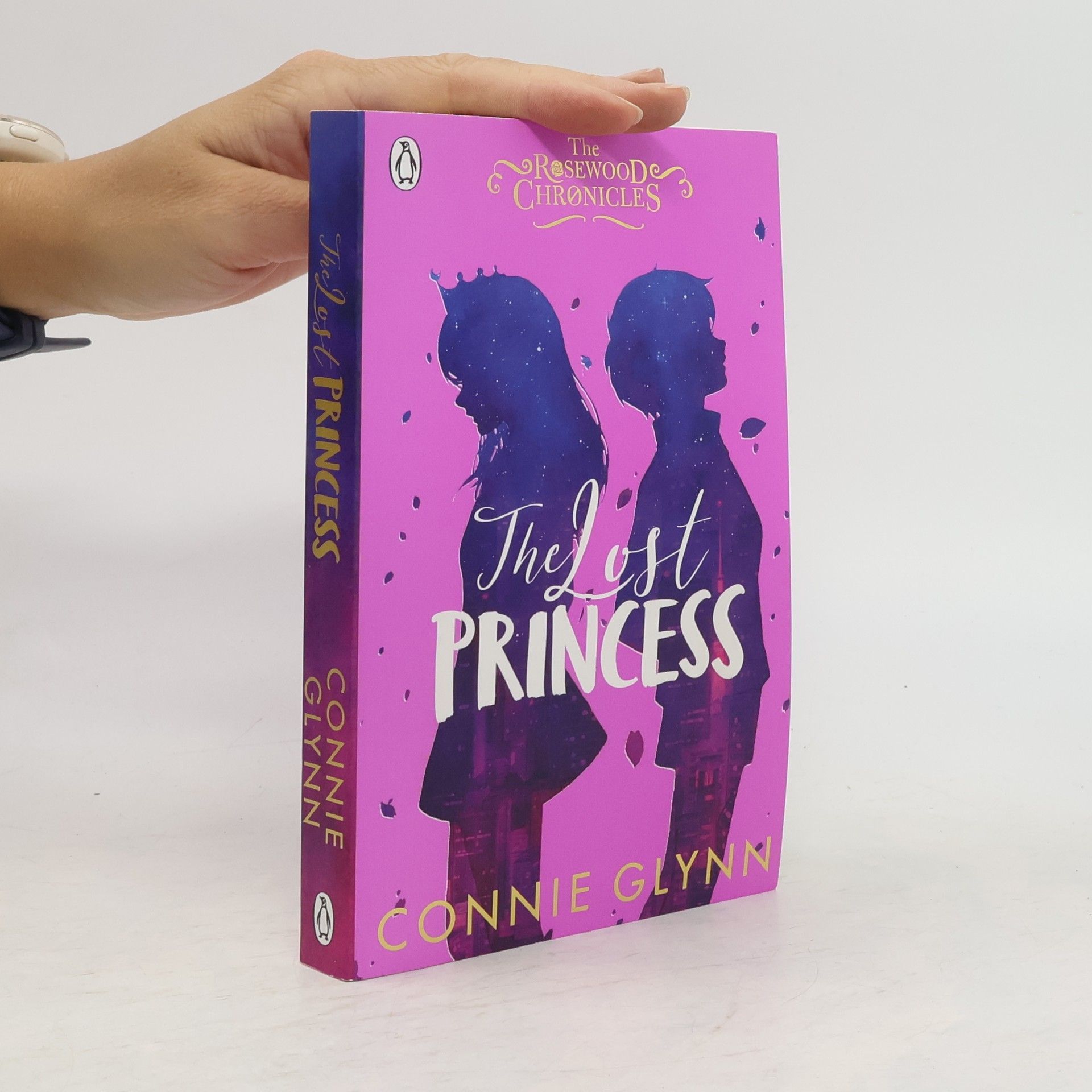 Connie Glynn The Lost Princess