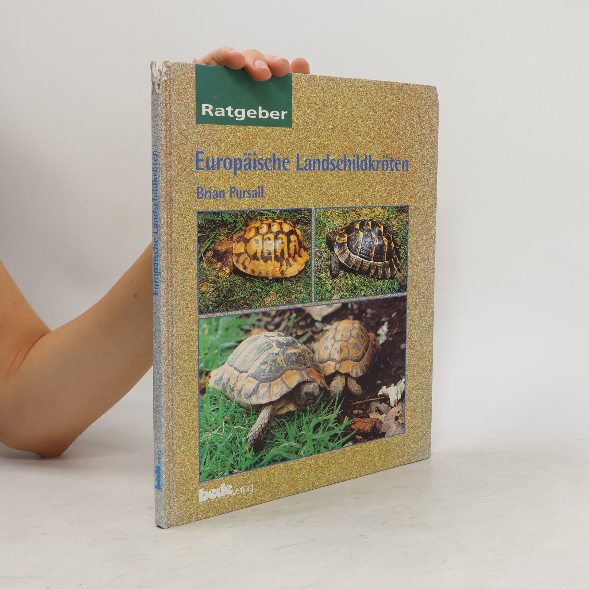 Brian Pursall Landschildkröten