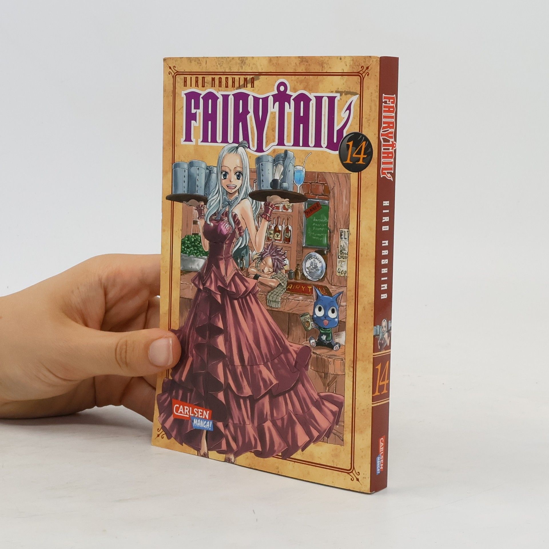 Hiro M. Fairy Tail 14