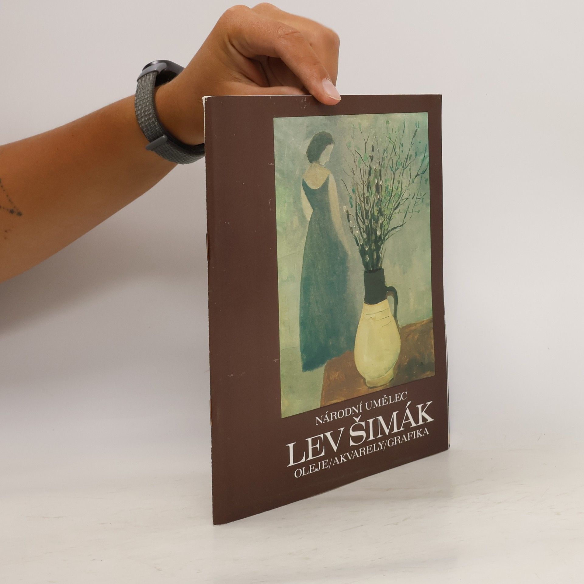 Kolektiv autorů Národní umělec Lev Šimák