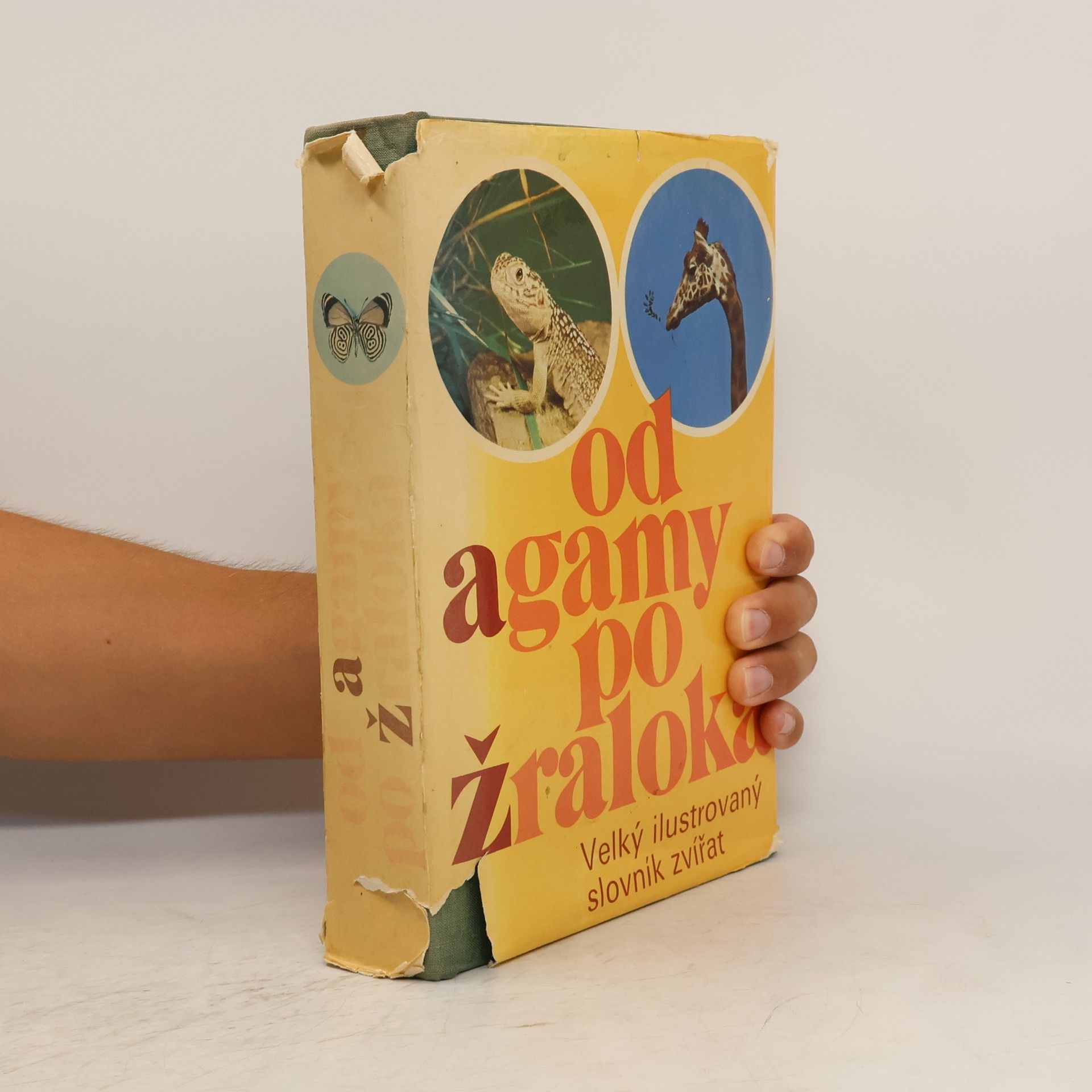 Autorenkollektiv Od agamy po žraloka. Velký ilustrovaný slovník zvířat
