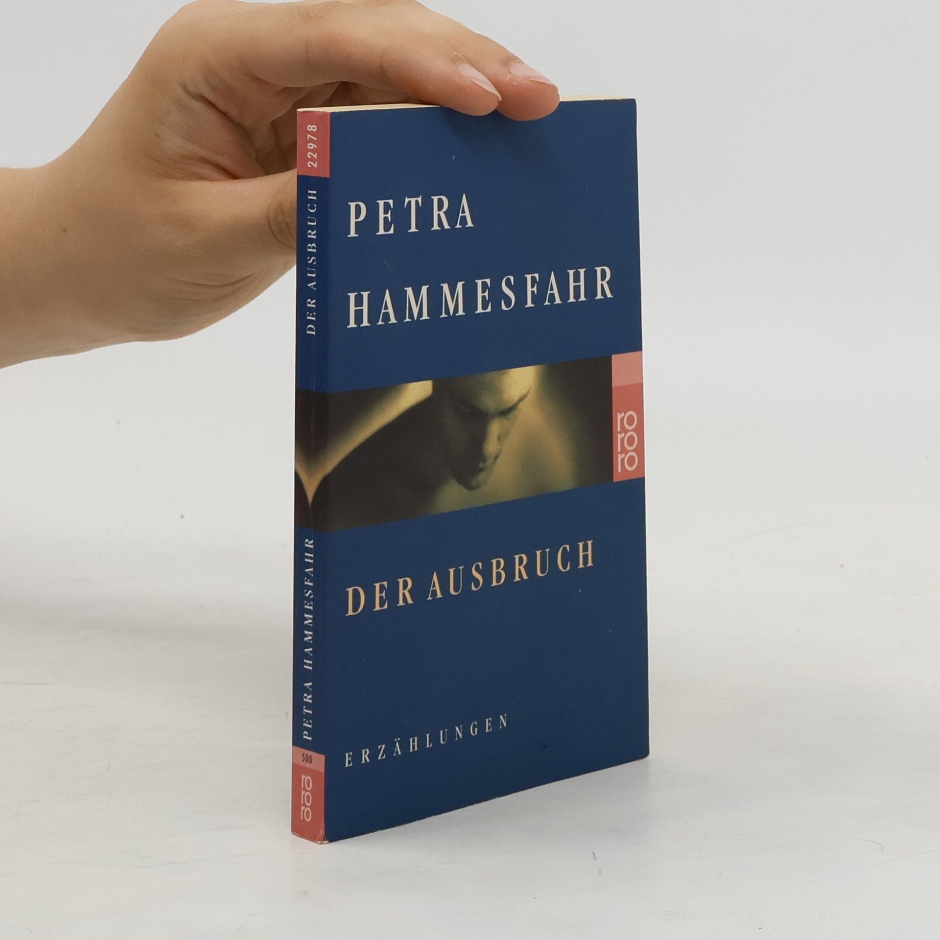 Petra Hammesfahr Der Ausbruch