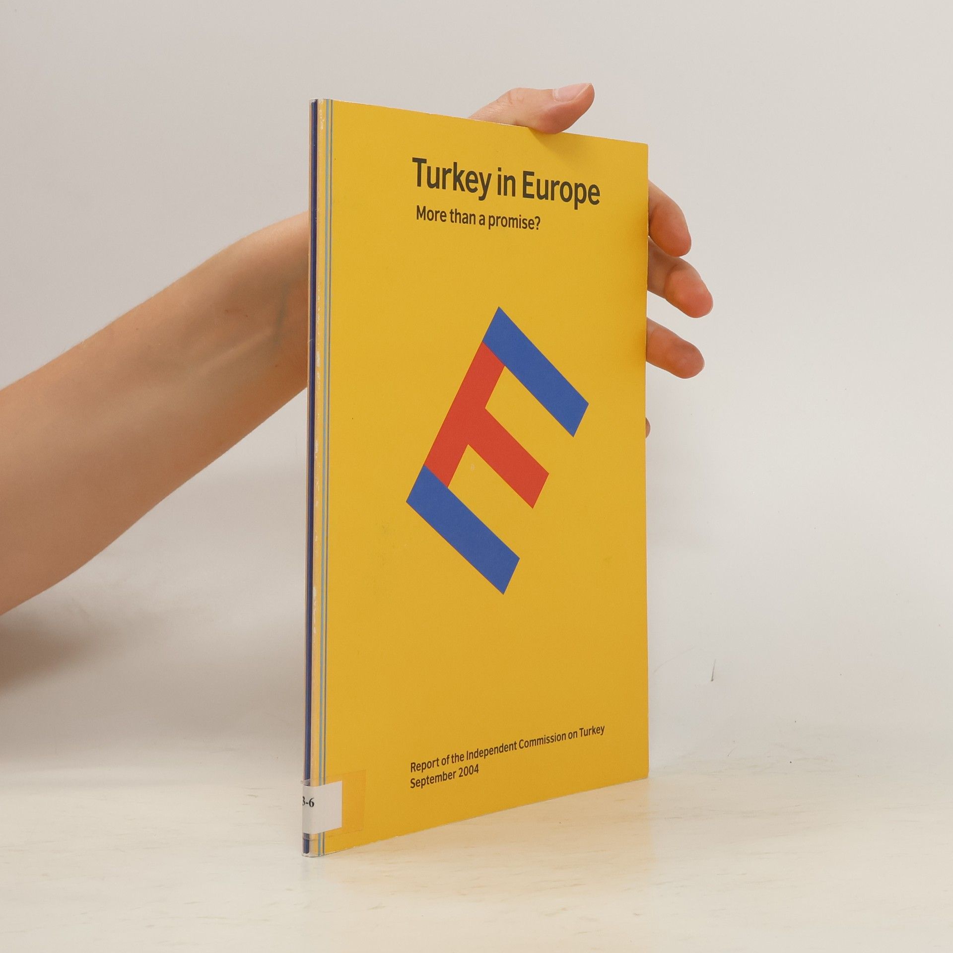 Kolektiv autorů Turkey in Europe. More than a promise?