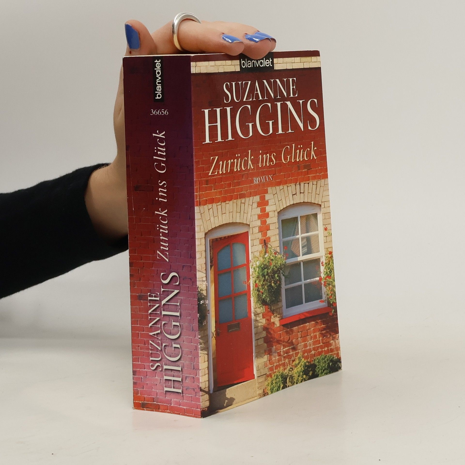 Suzanne Higgins Zurück ins Glück