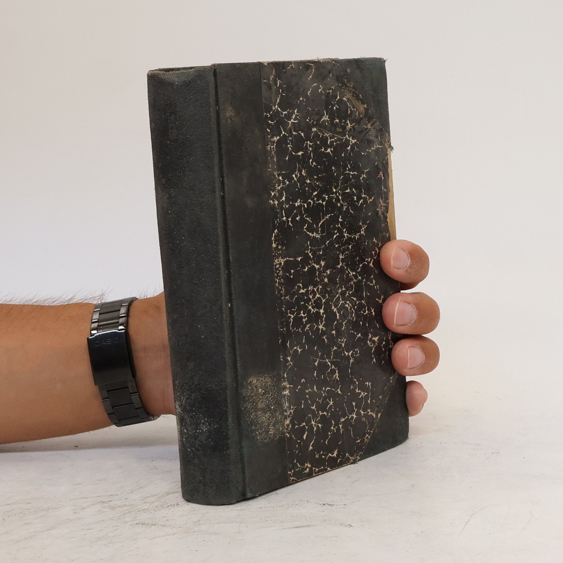 Thomas Mann Buddenbrooks 2