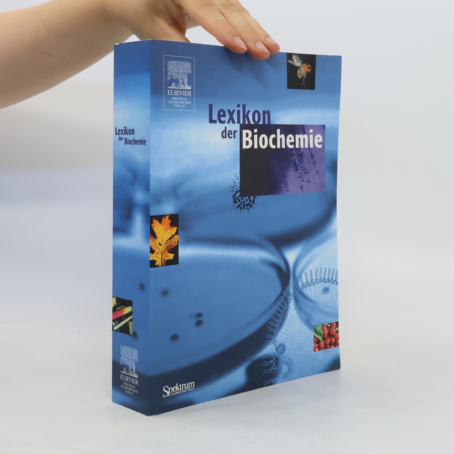 Patricia Falkenburg Lexikon der Biochemie