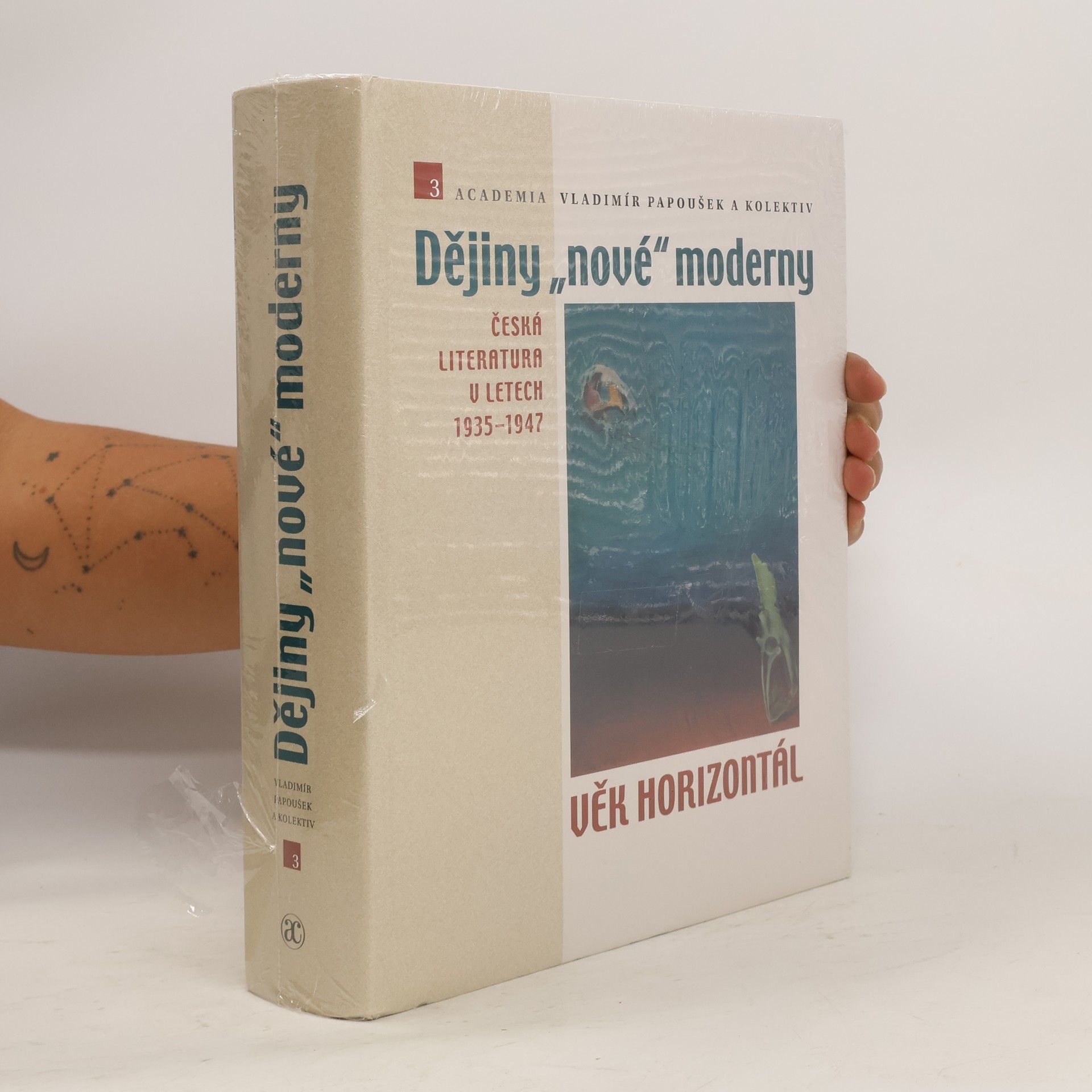 Dějiny „nové“ moderny 3. Věk horizontál