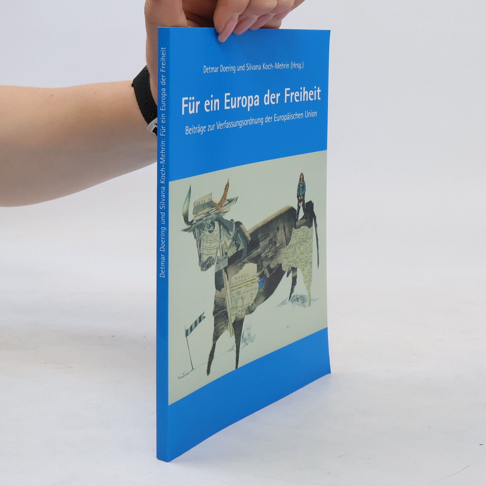 Kolektiv autorů Asyl