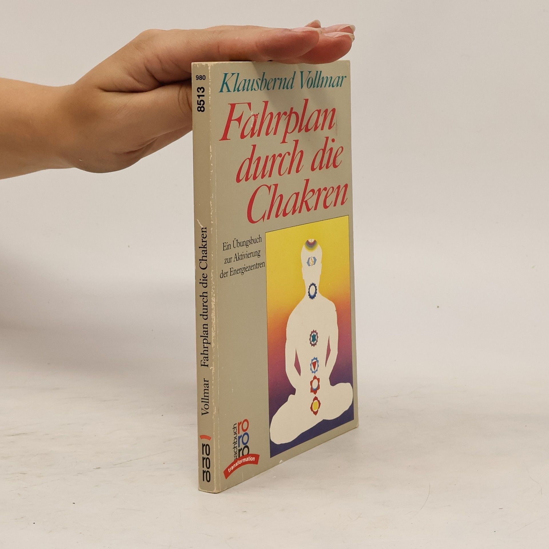 Klausbernd Vollmar Fahrplan durch die Chakren